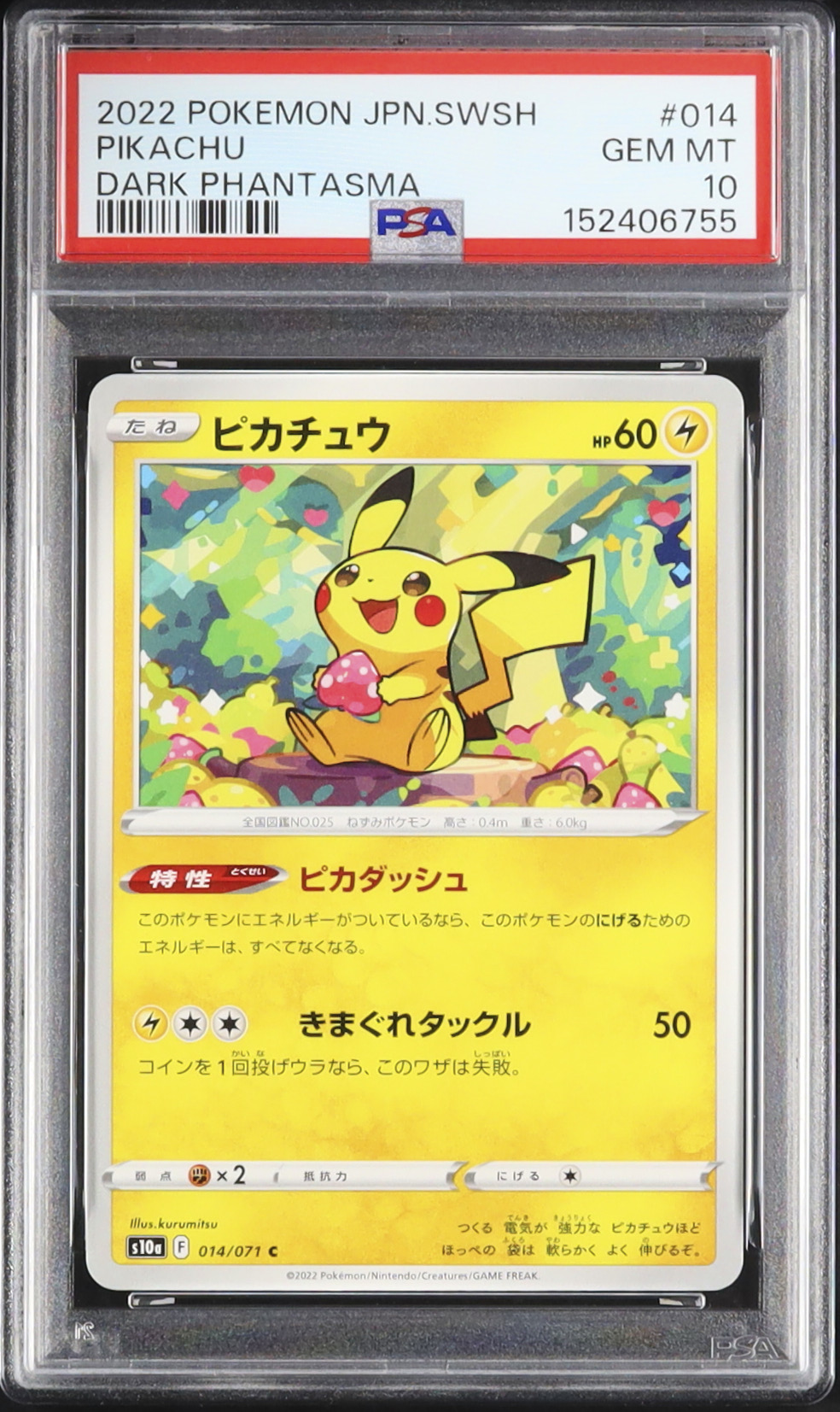 2022 ピカチュウ PSA 10 - カルドバ