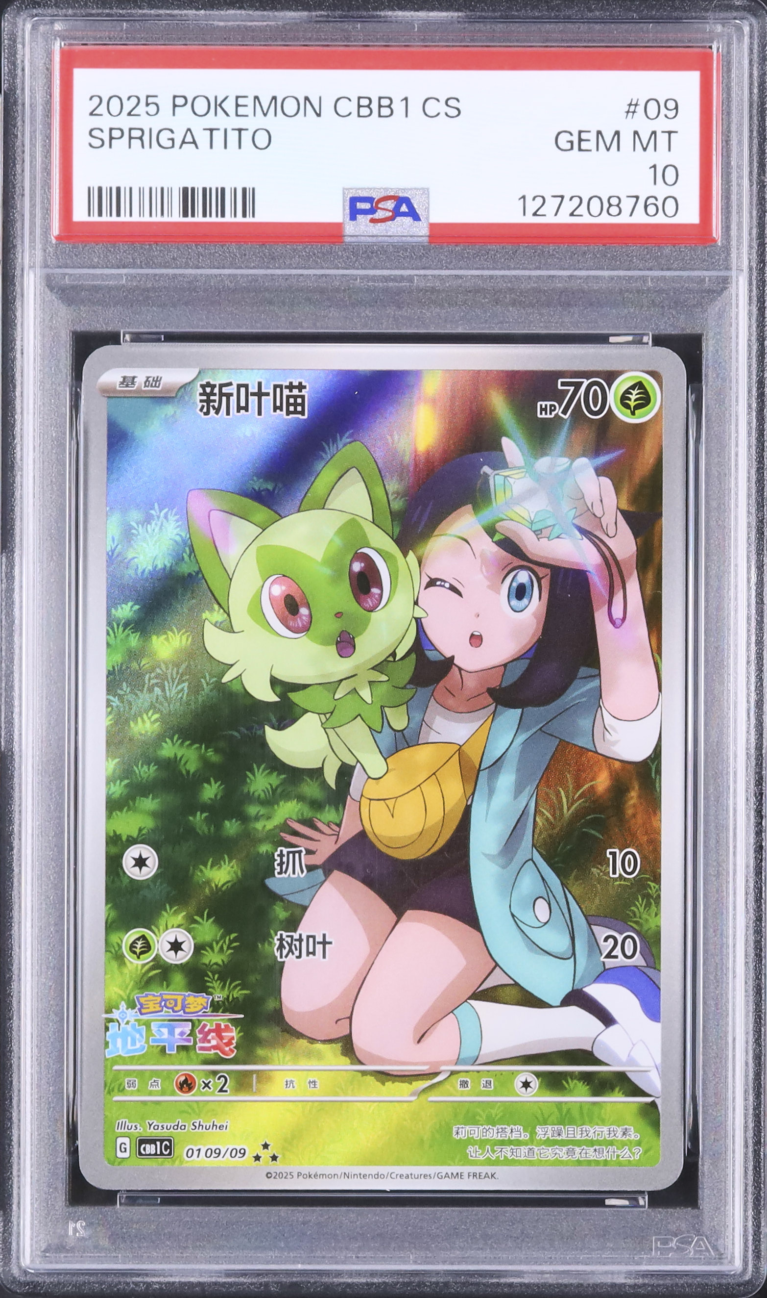 2025 ニャオハ PSA 10 - カルドバ