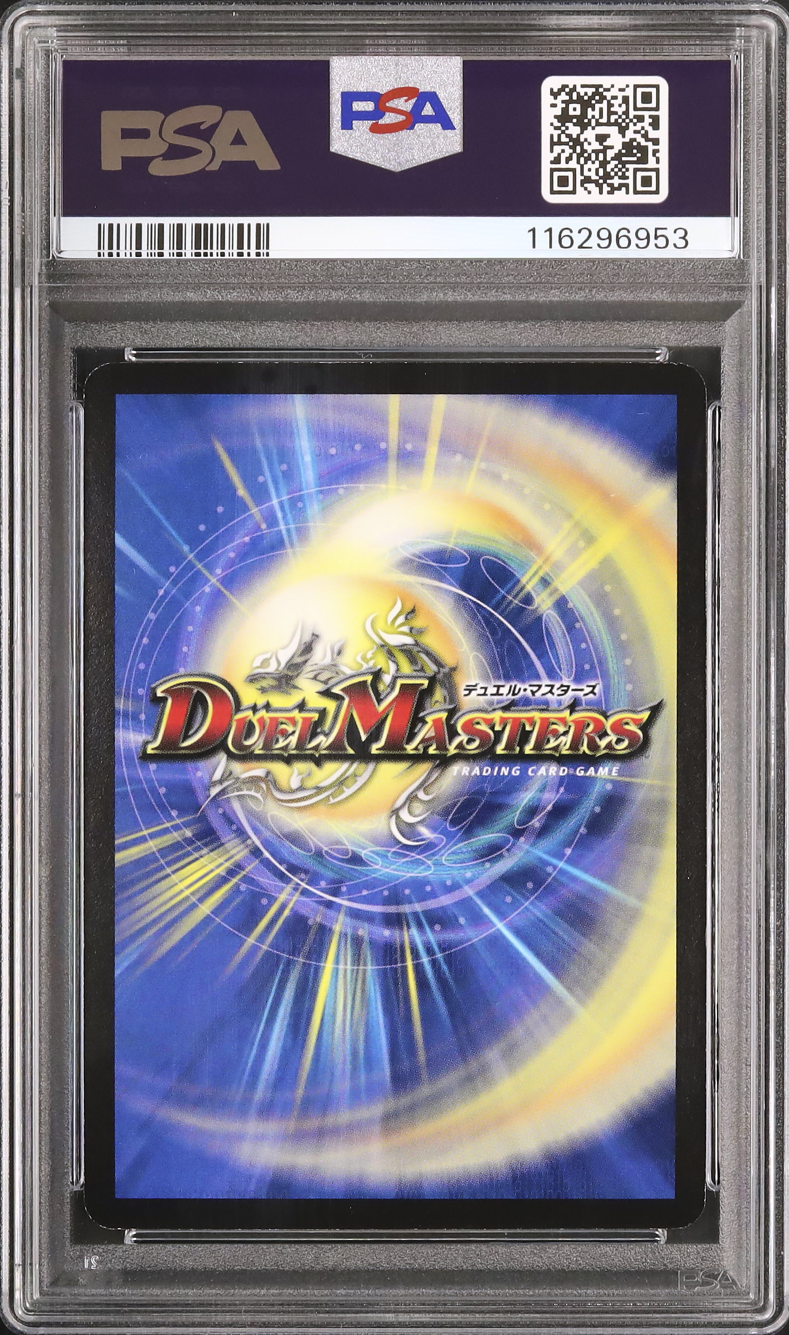 【PSA8】 光器サーシャ プロモ 英語版 2005デュエルマスターズ 半額】 光器サーシャ PSA8】 プロモ 2005デュエルマスターズ