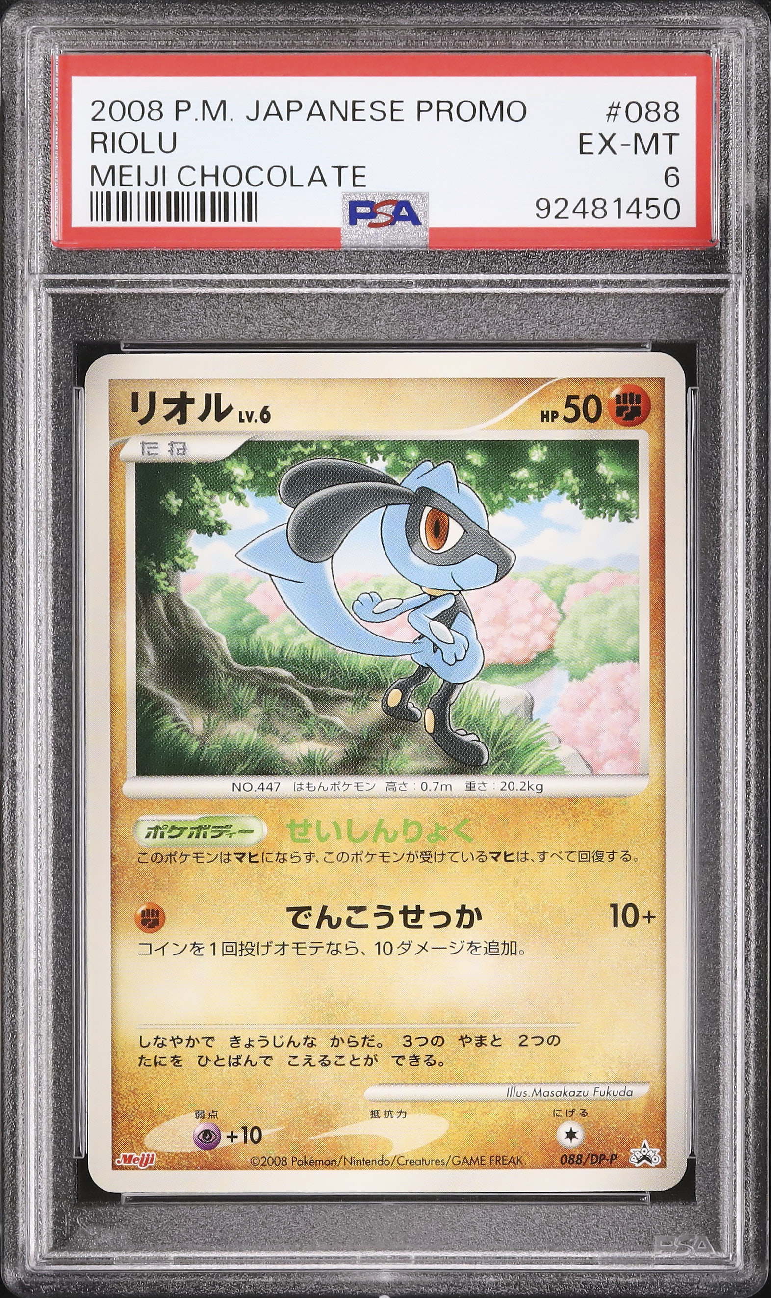 2008 リオル PSA 6 - カルドバ
