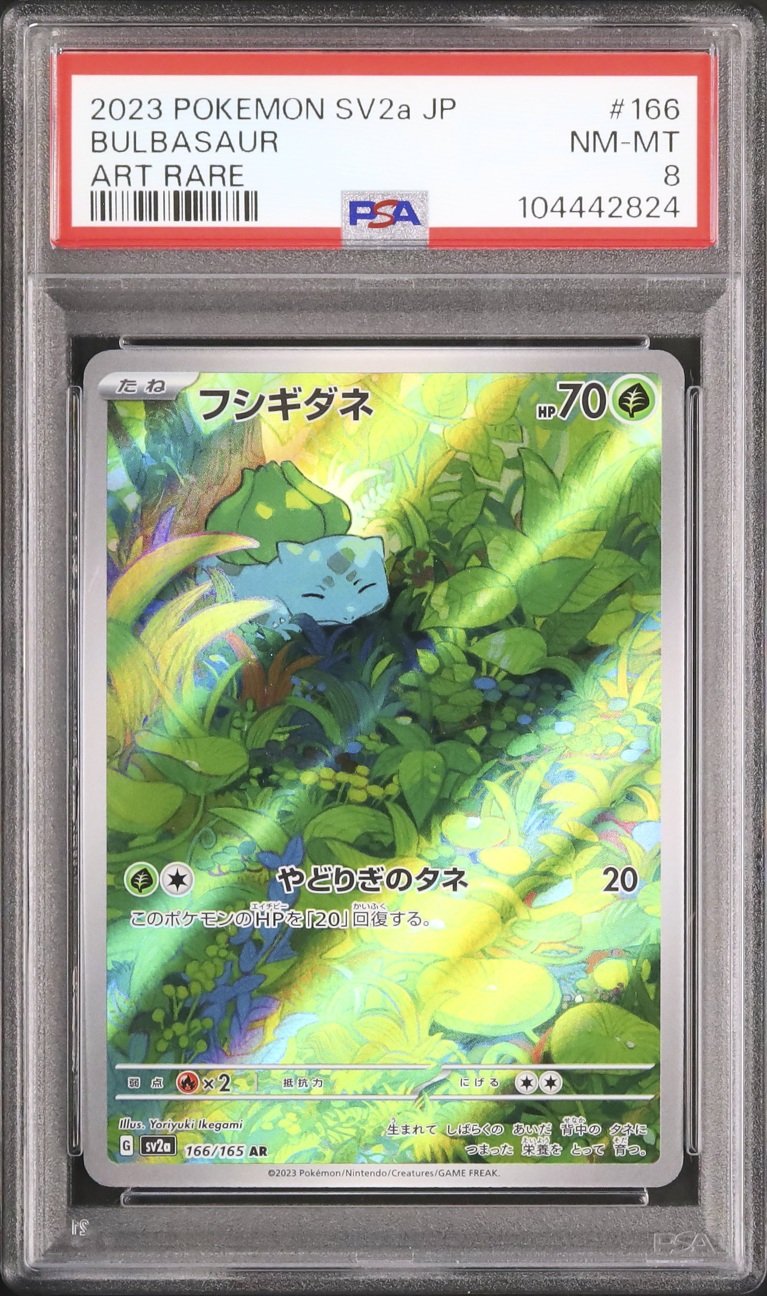 ポケモンカードダス フシギダネ PSA8 2023 フシギダネ PSA 8 - カルドバ