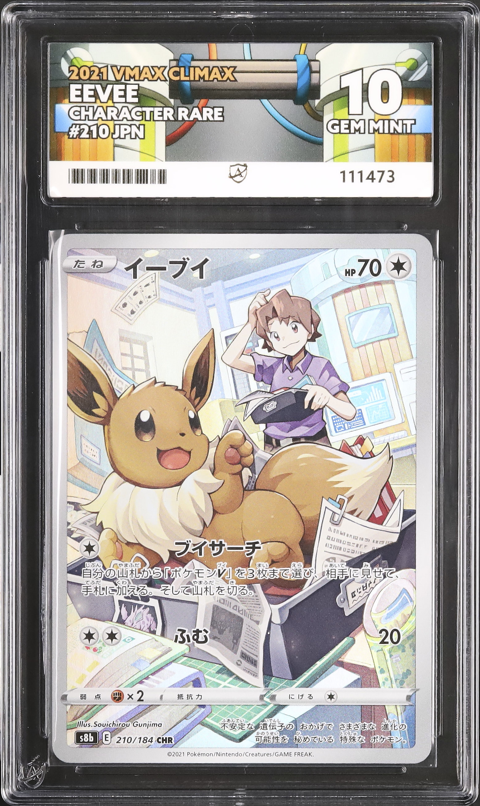 2021 Eevee Other 10 FA - Cardova Japan