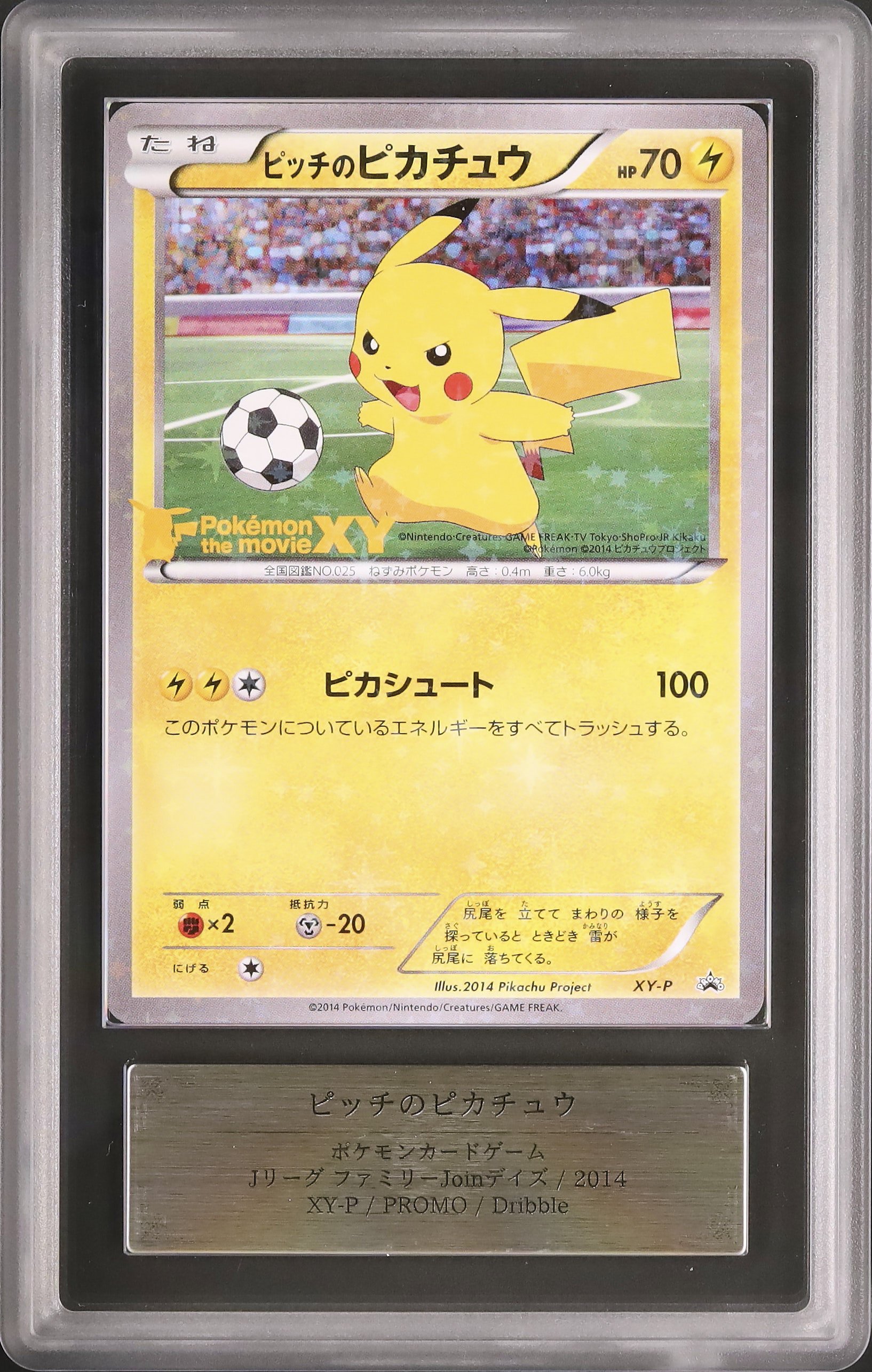 柴*犬様 XY-P ピッチのピカチュウ_Jリーグ「ファミリー Joinデイズ」 柴*犬様 XY-P ピッチのピカチュウ_Jリーグ「ファミリー Joinデイズ」