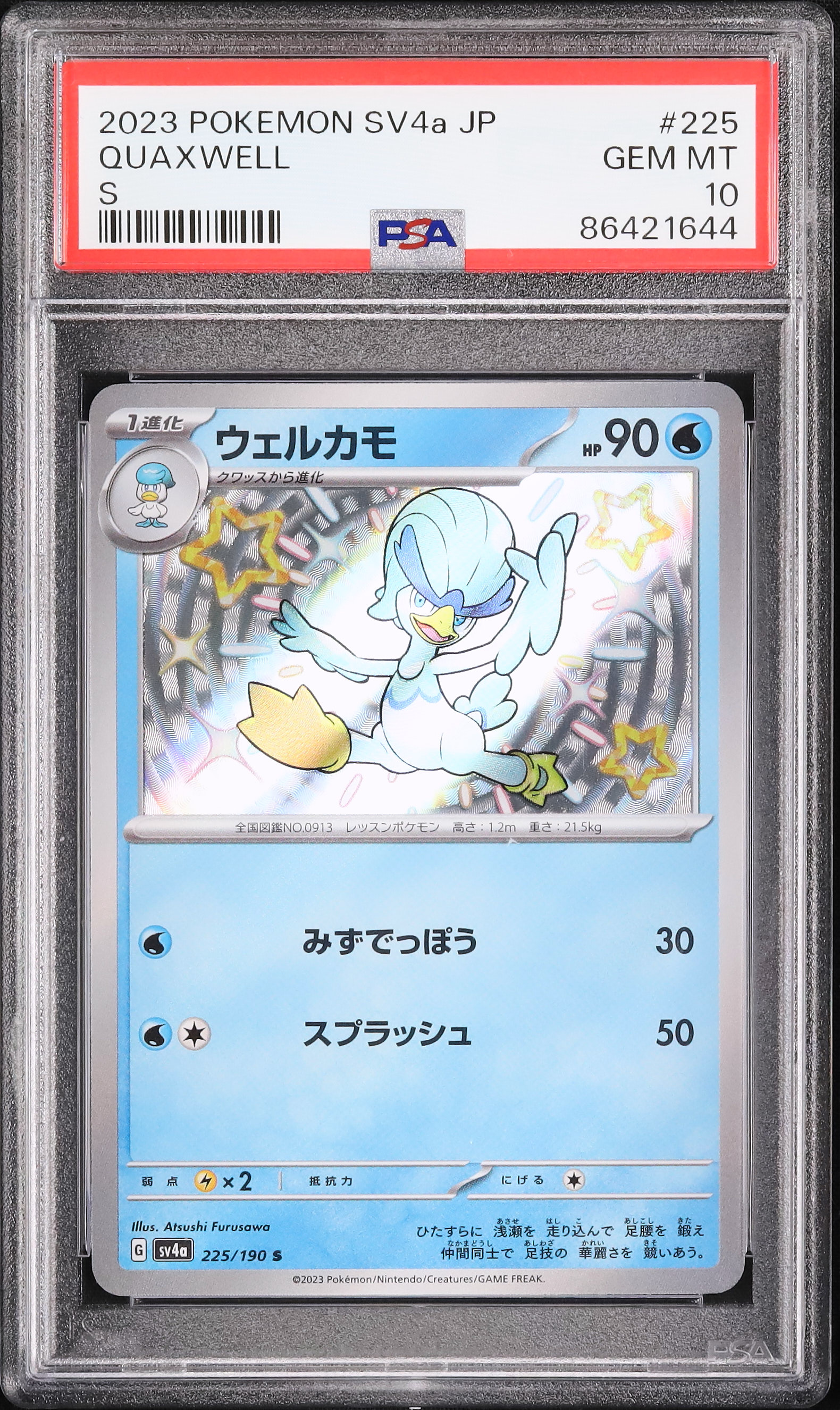 2023 Quaxwell PSA 10 Shiny - カルドバ