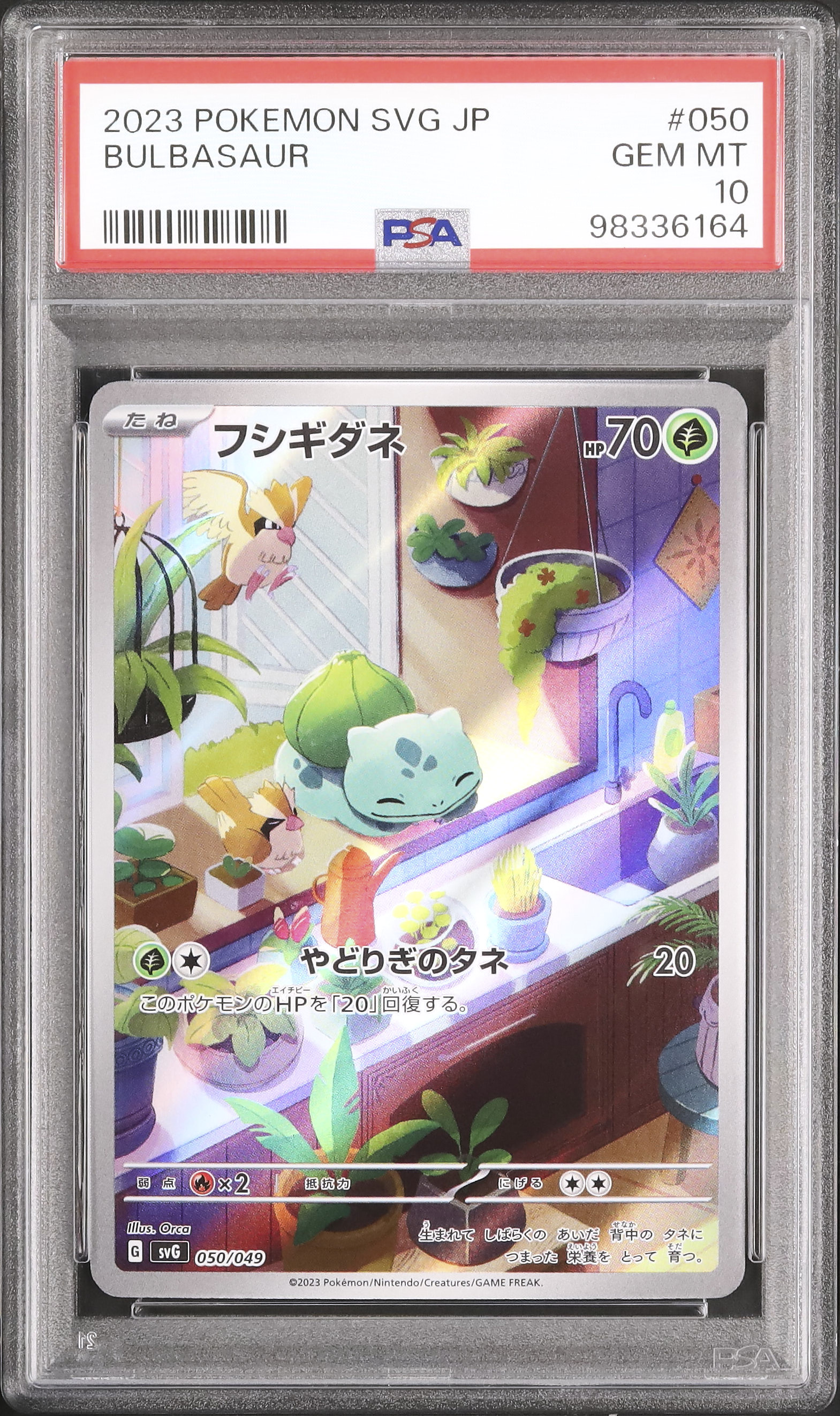 2023 フシギダネ PSA 10 AR仕様 - カルドバ
