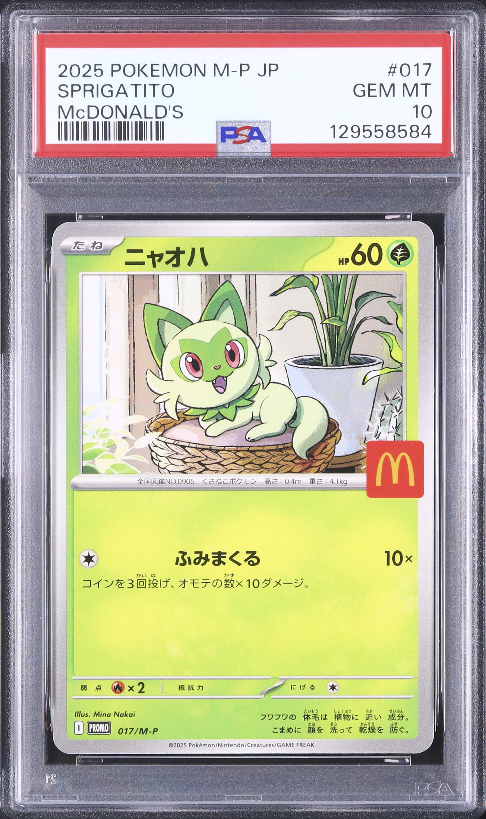 2025 ニャオハ PSA 10 - カルドバ