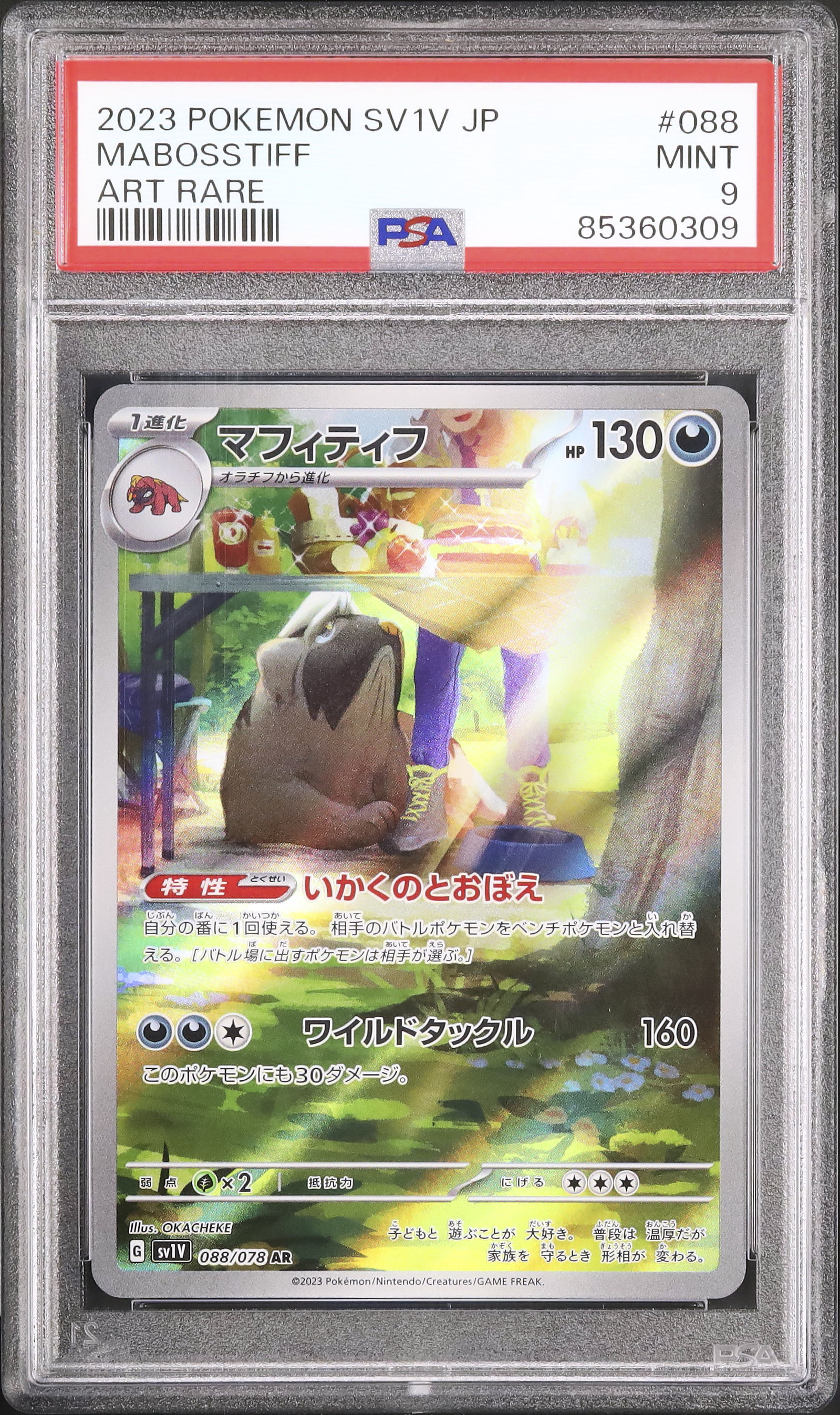 2023 Mabosstiff PSA 9 - Cardova Japan