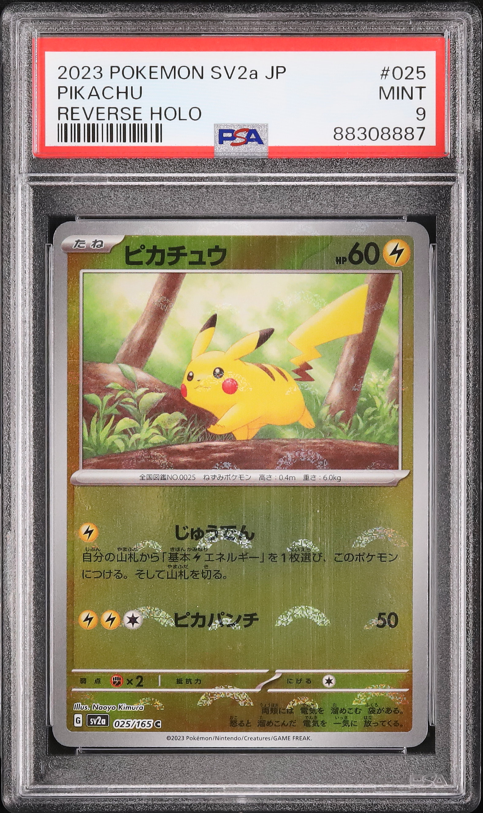 2023 ピカチュウ PSA 9 モンスターボール - カルドバ