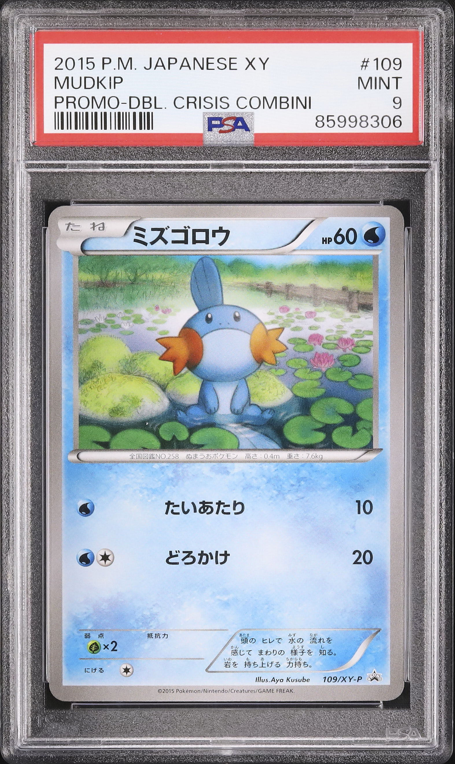 2015 ミズゴロウ PSA 9 - カルドバ