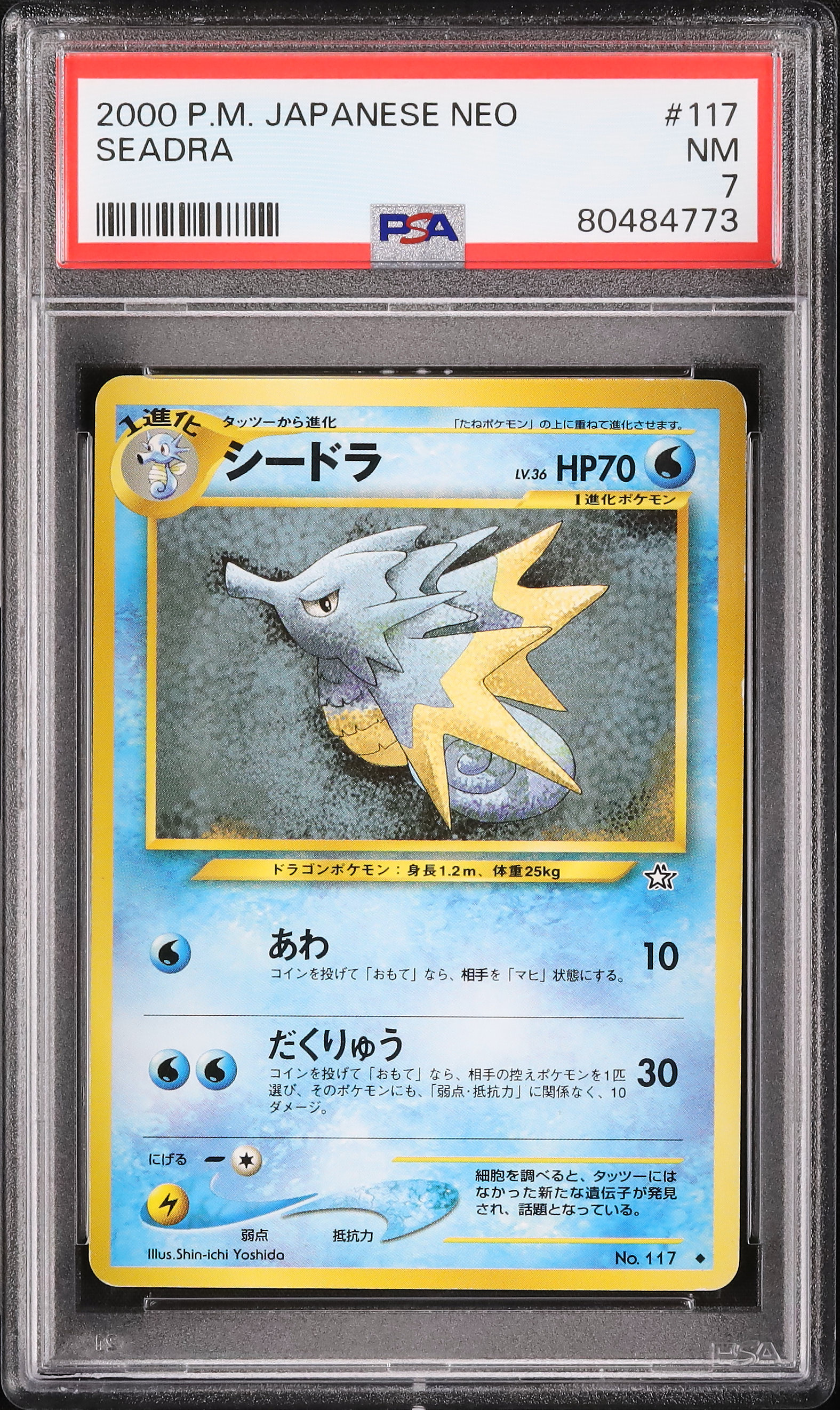 2000 シードラ PSA 7 - カルドバ