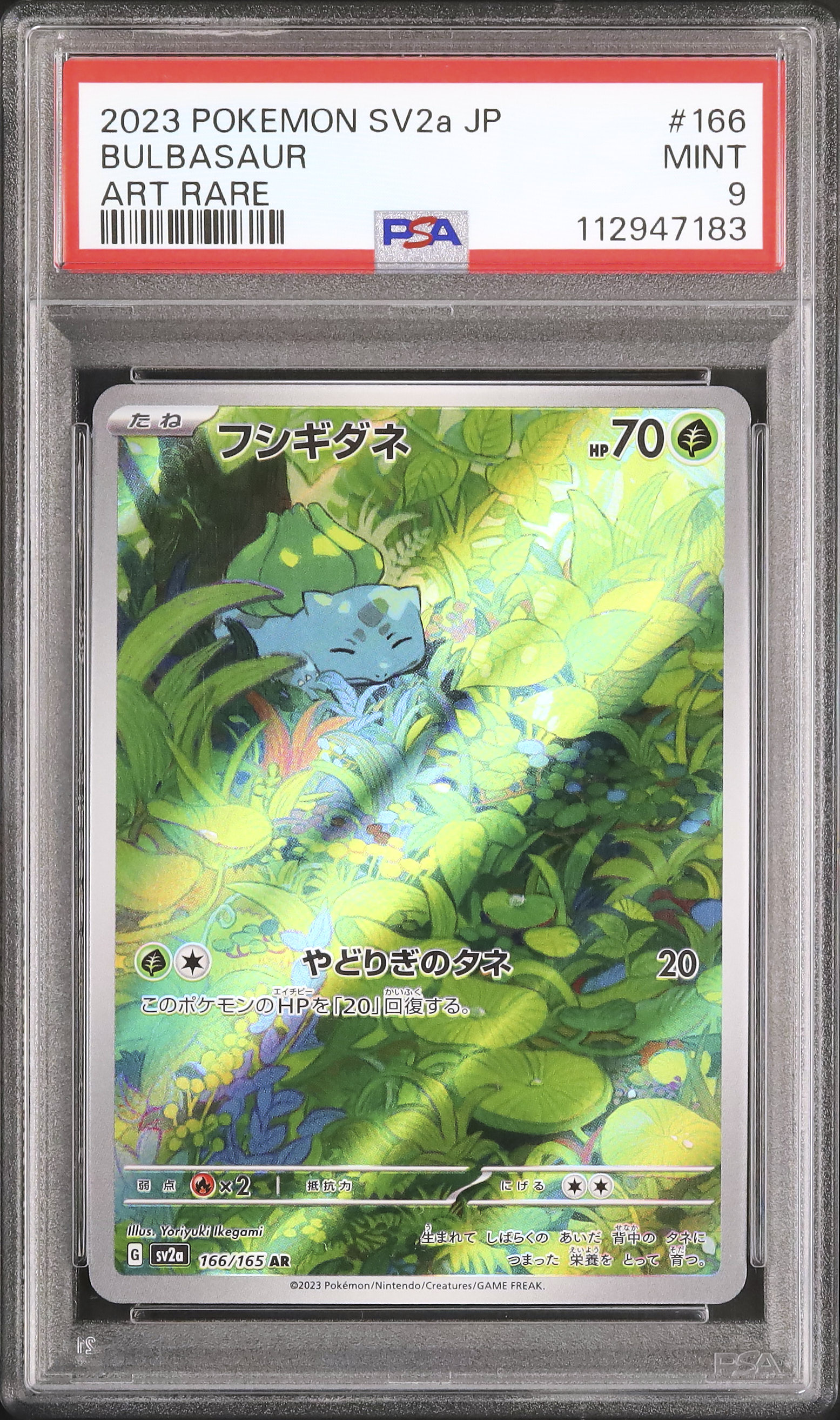 2023 フシギダネ PSA 9 - カルドバ