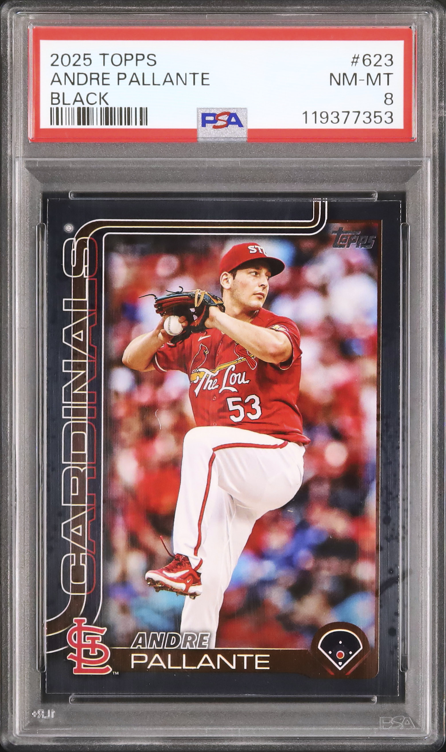 Live Sports Auctions - Cardova Japan