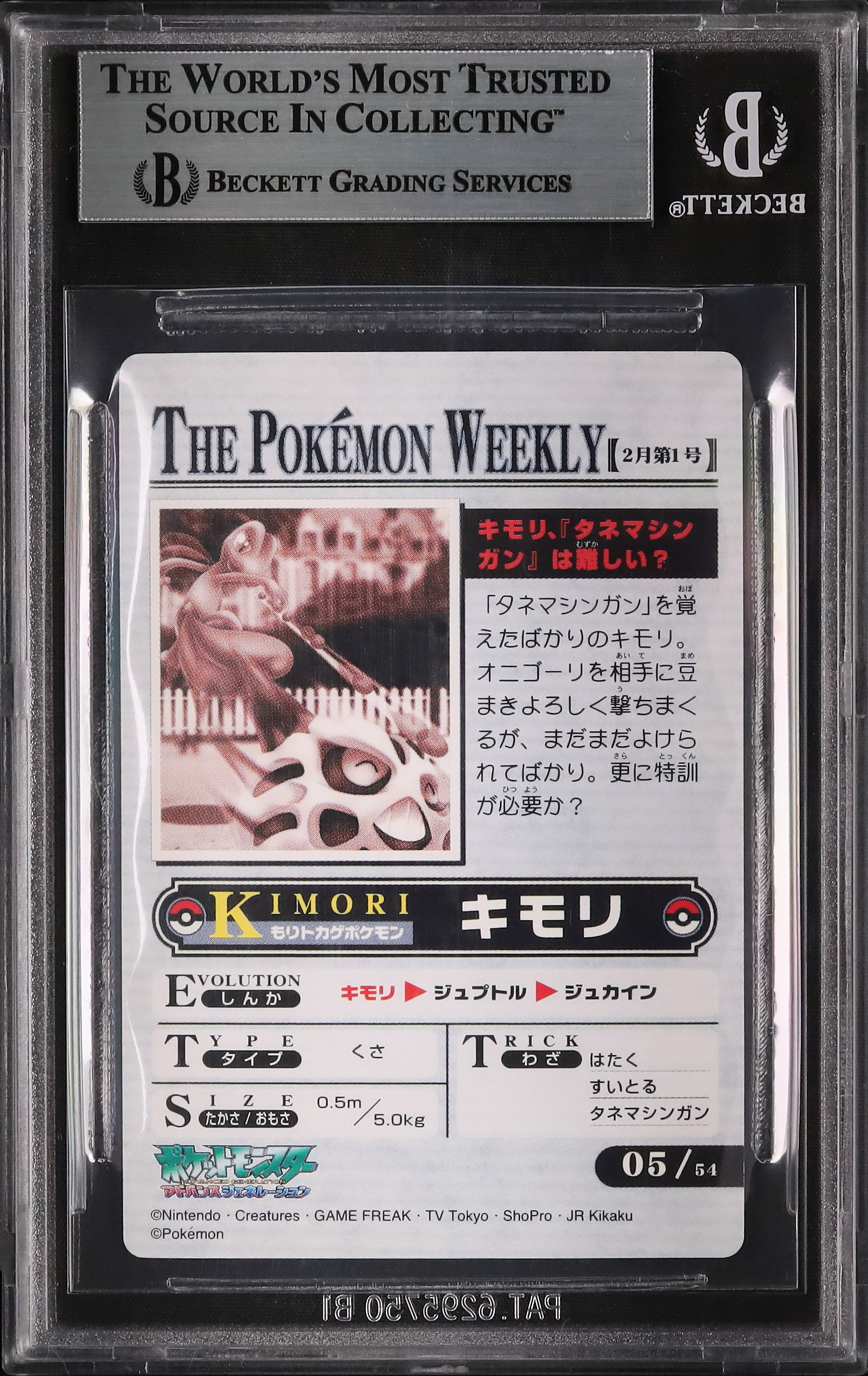 2005 キモリ BGS 9 - カルドバ