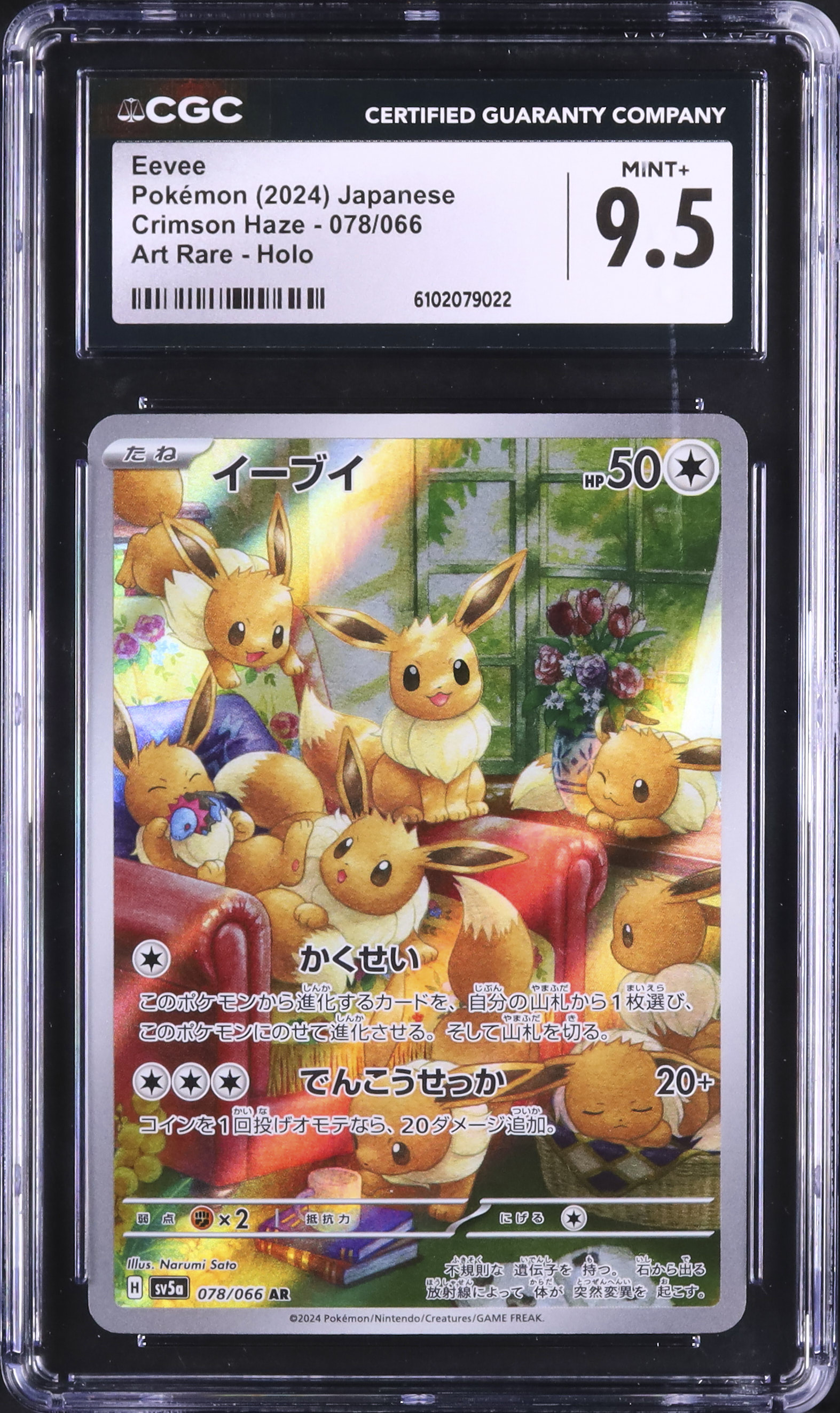 2024 イーブイ CGC 9.5 - カルドバ