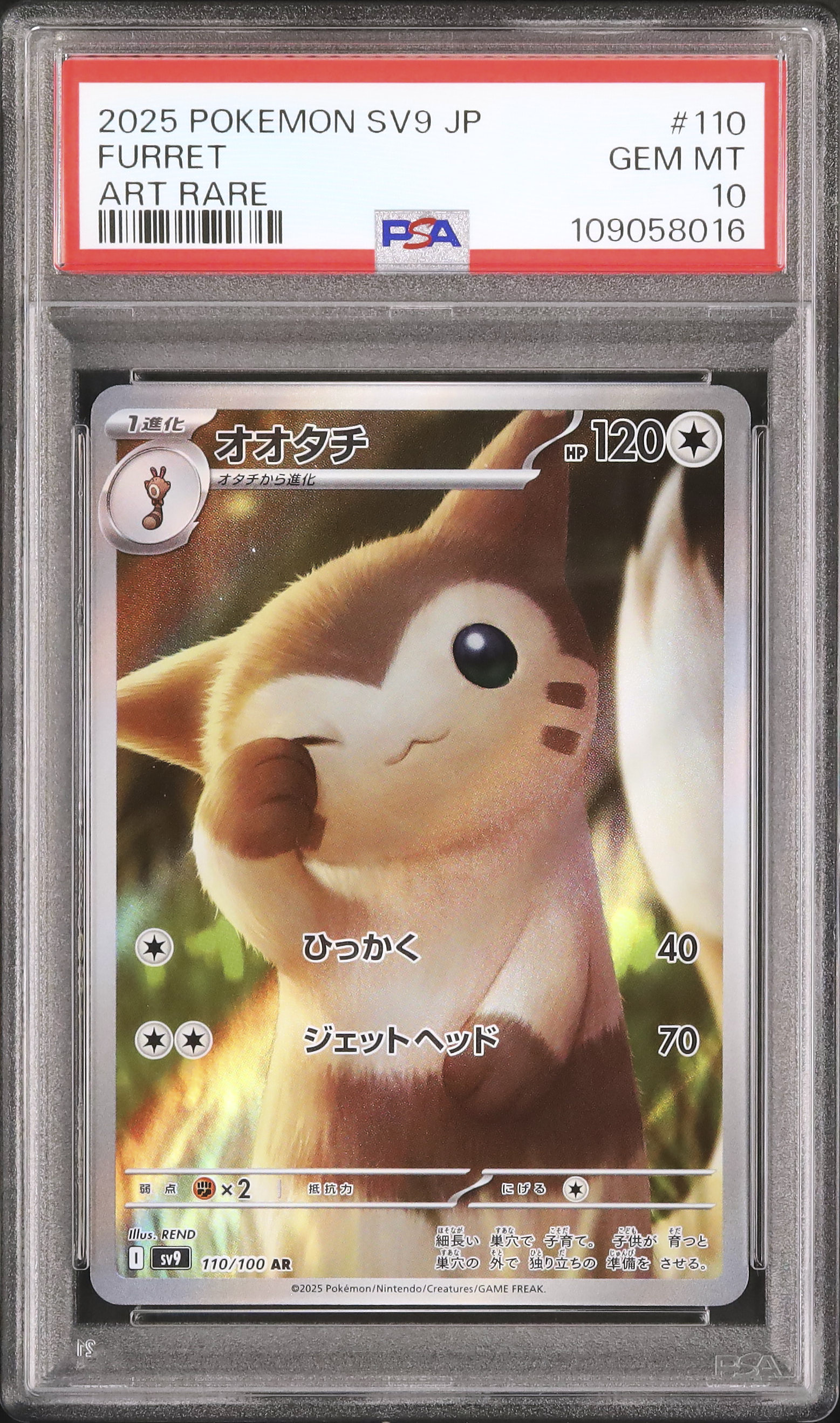 2025 オオタチ PSA 10 - カルドバ