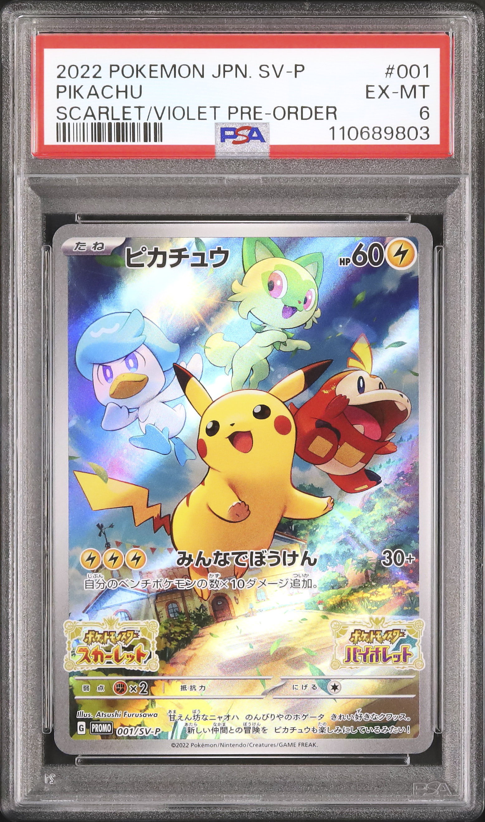 2022 ピカチュウ PSA 6 - カルドバ