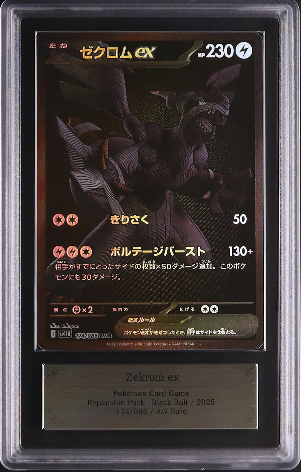 2025 ゼクロムex ARS 10 - カルドバ