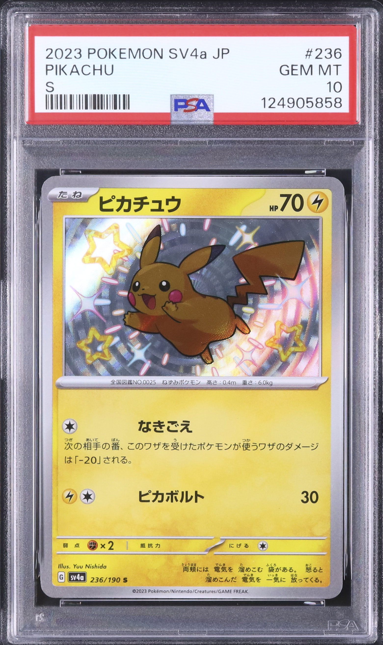 2023 ピカチュウ PSA 10 色違い - カルドバ