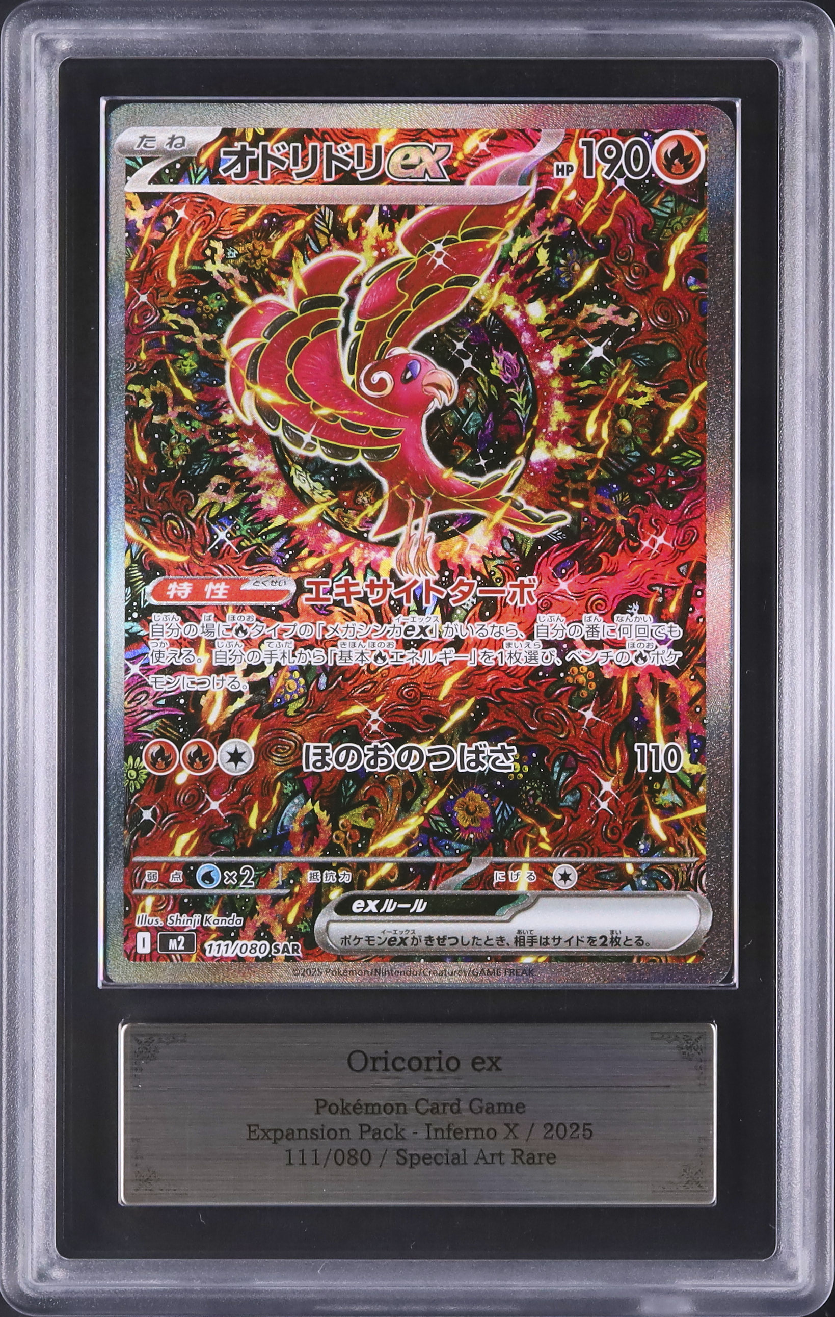 2025 オドリドリex ARS 10 - カルドバ