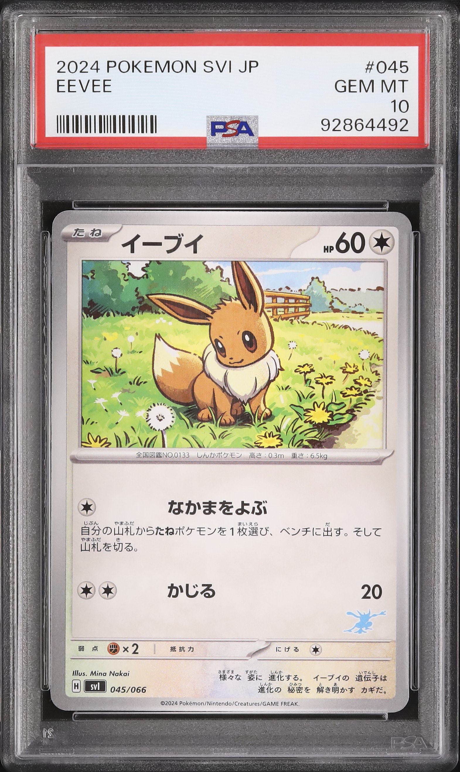 2024 Eevee PSA 10 - Cardova Japan
