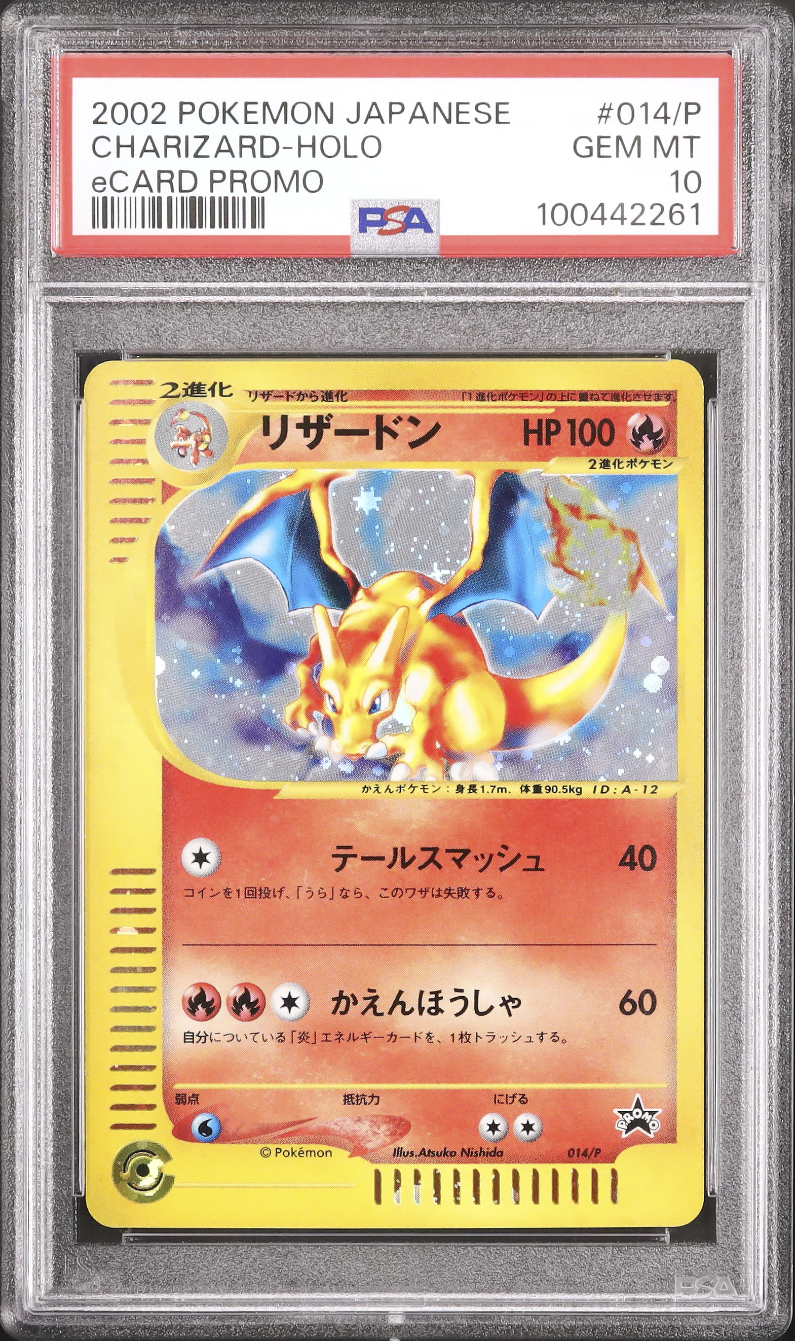2002 Charizard PSA 10 Holo - カルドバ