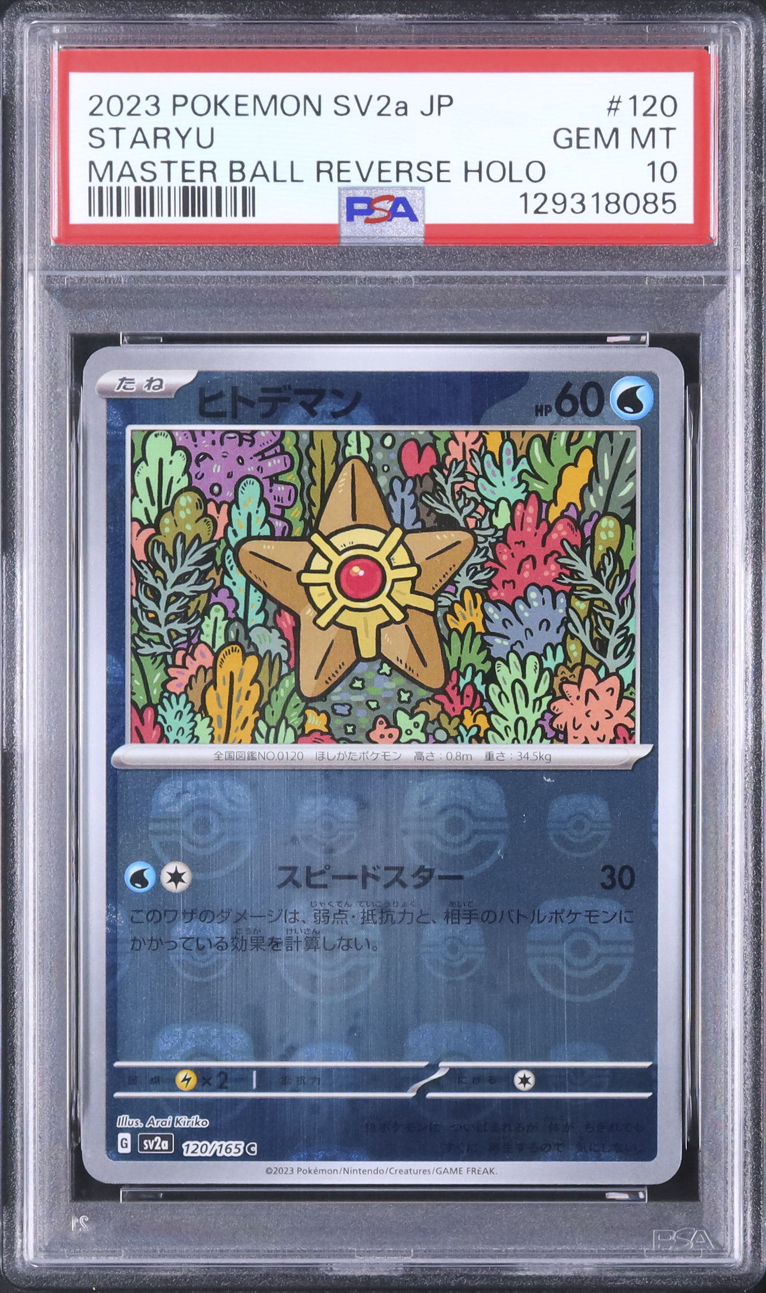 2023 ヒトデマン PSA 10 マスターボール - カルドバ