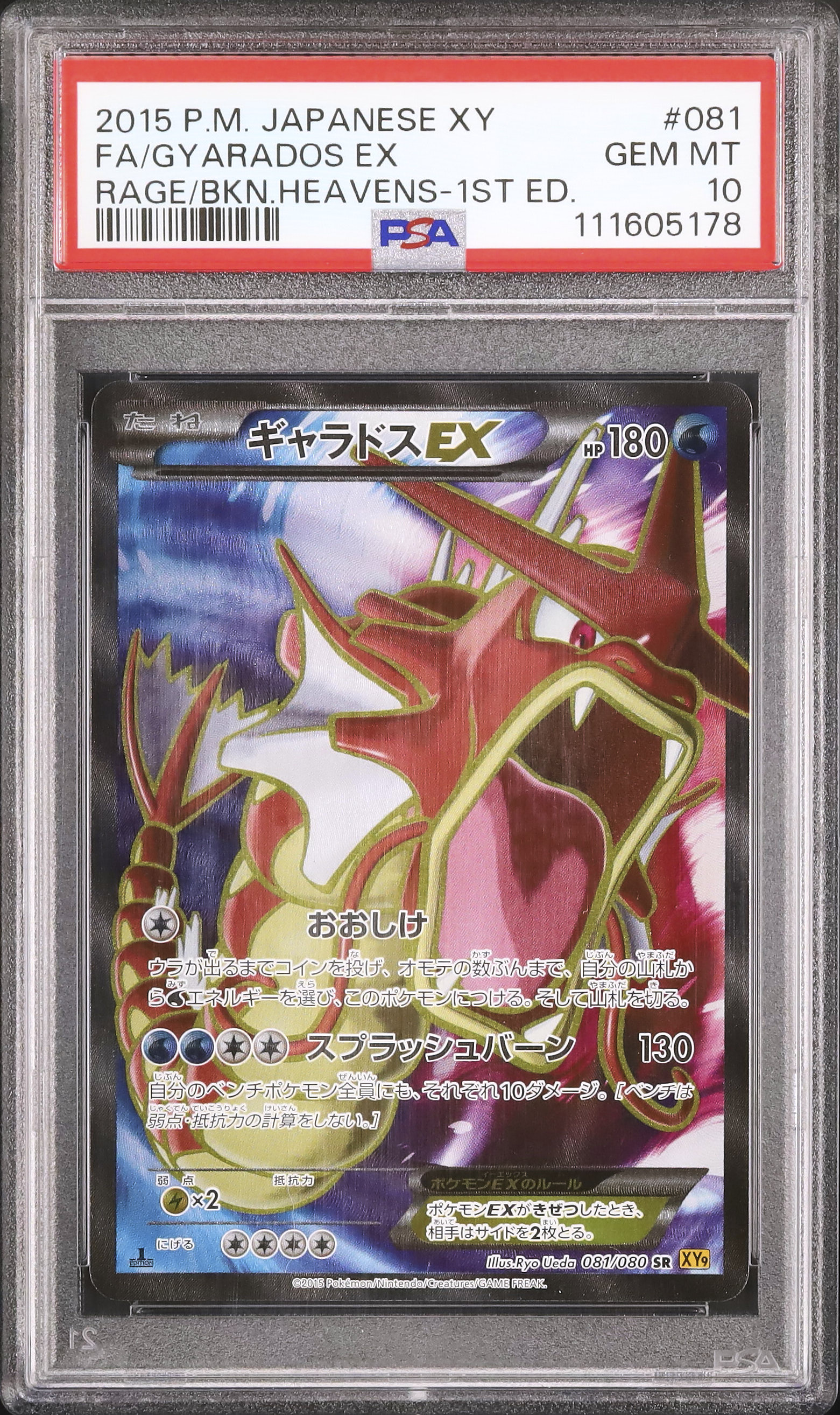 2015 ギャラドスEX PSA 10 1st エディション - カルドバ