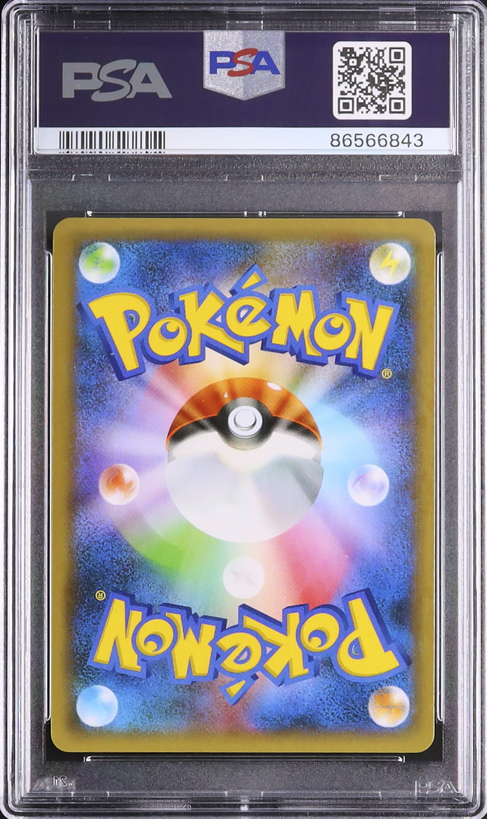 2021 カメックス PSA 10 ホロ - カルドバ
