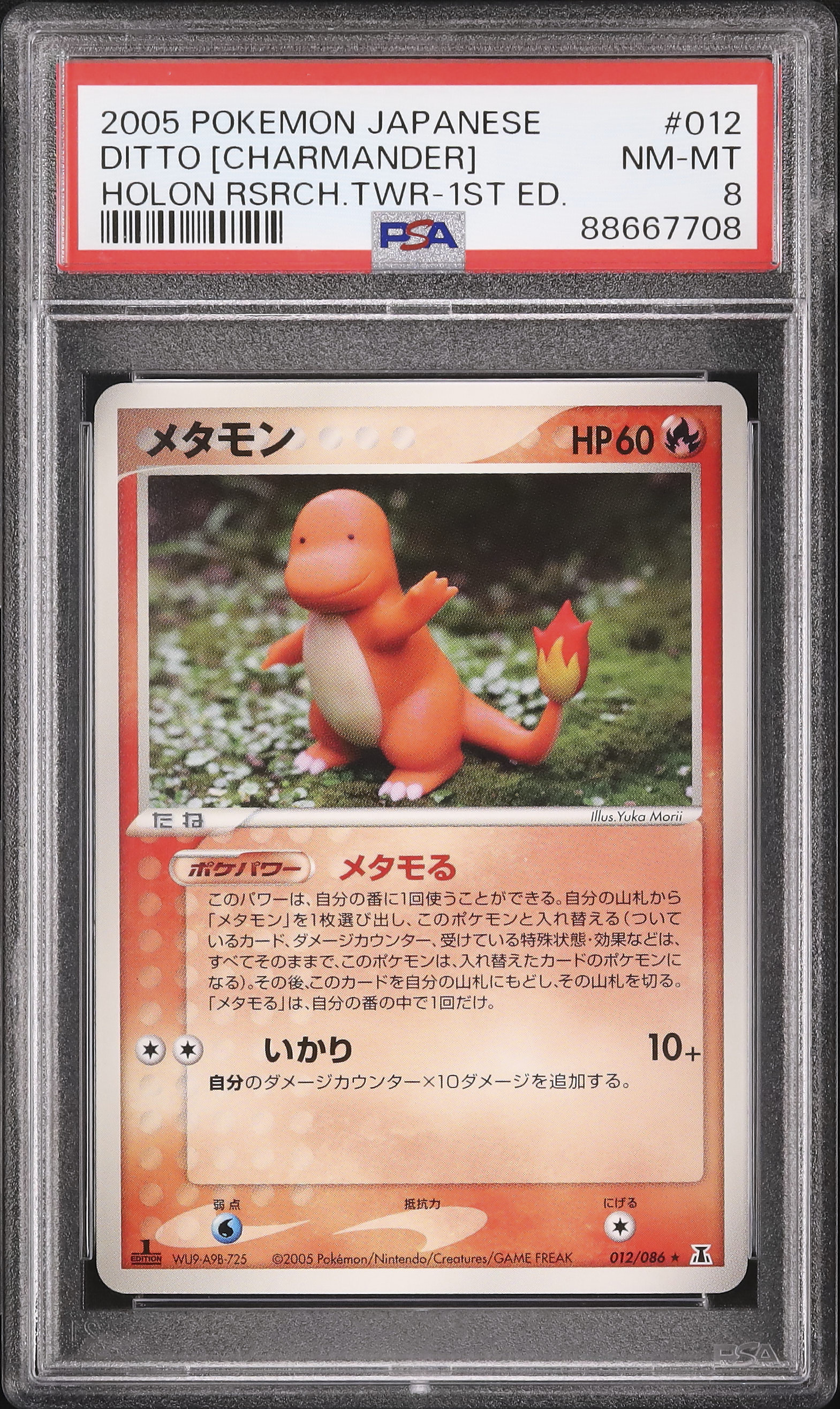 2005 メタモン(ヒトカゲ) PSA 8 1st エディション - カルドバ