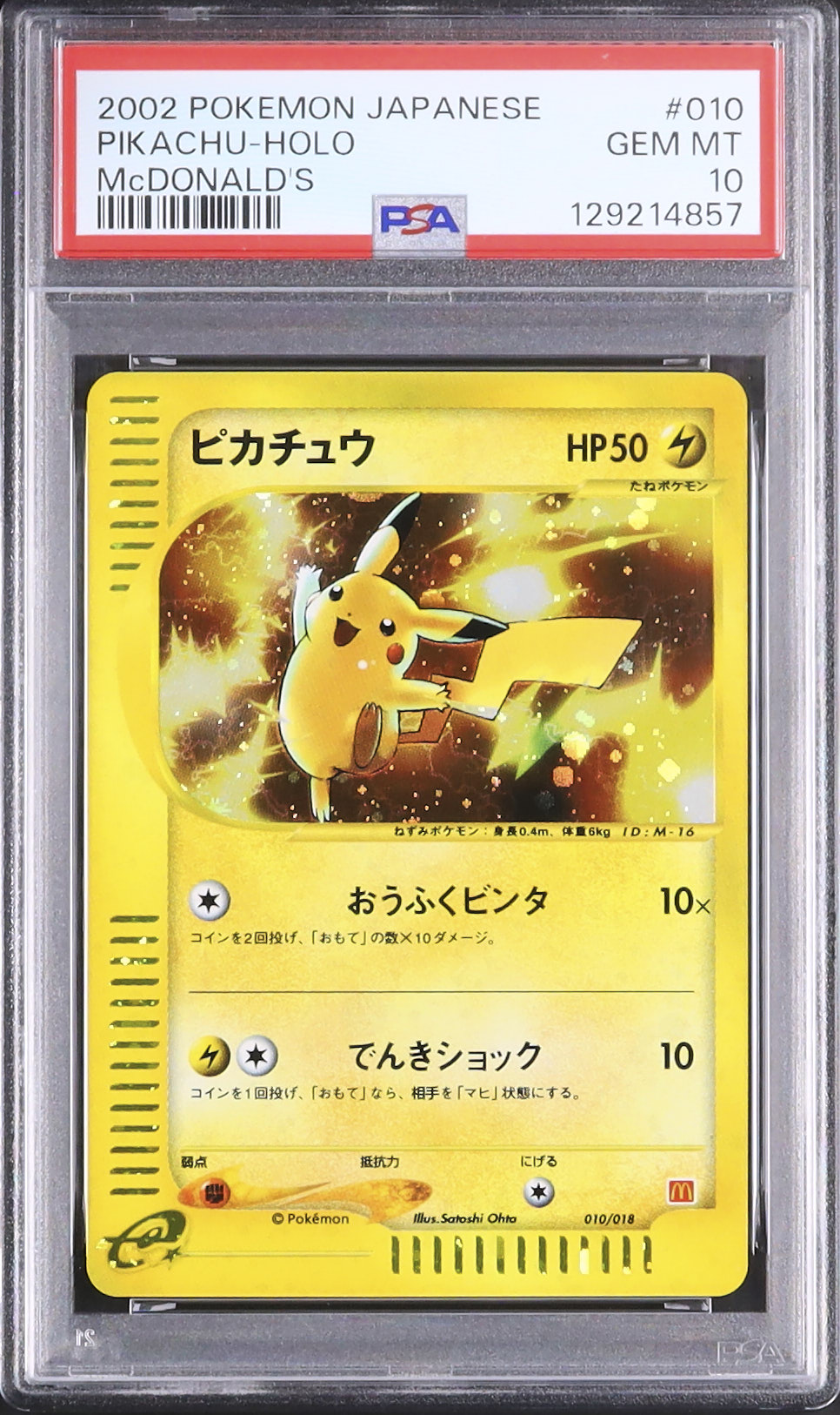 Live Auctions - Cardova Japan