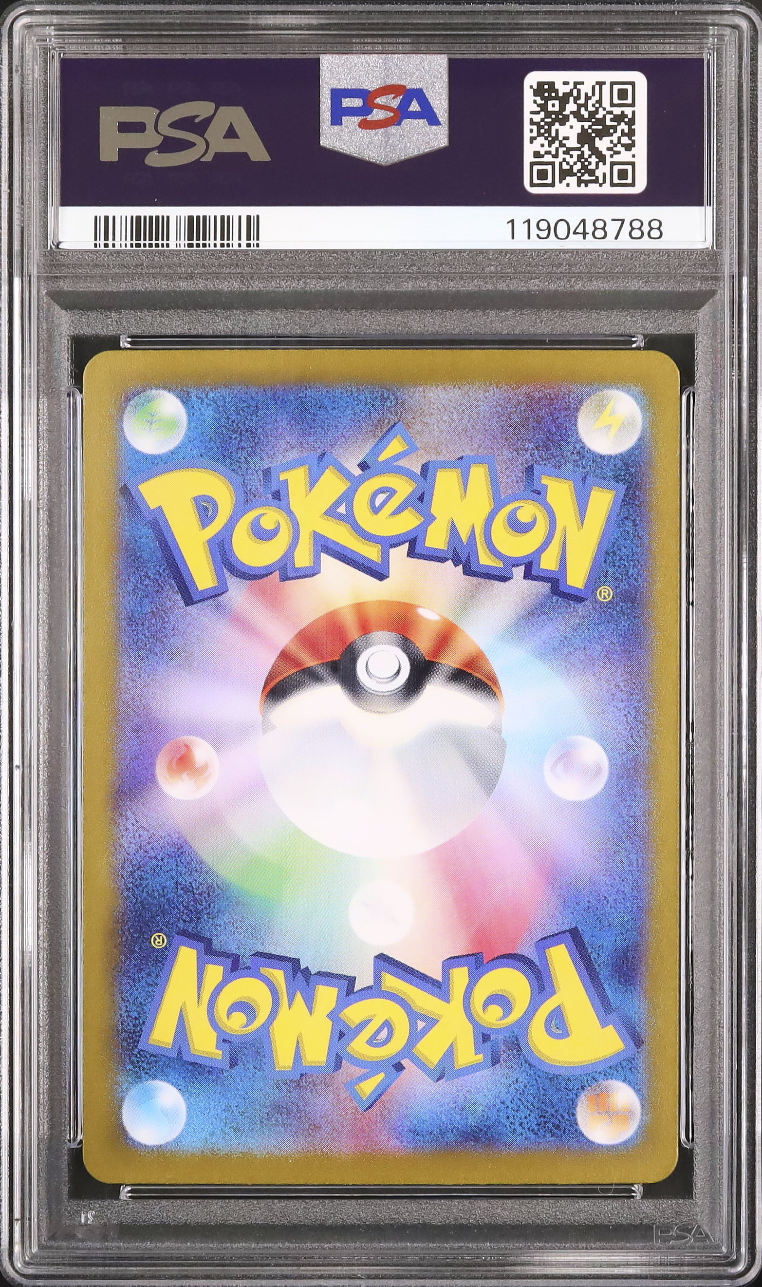 2023 ゼニガメ PSA 10 - カルドバ