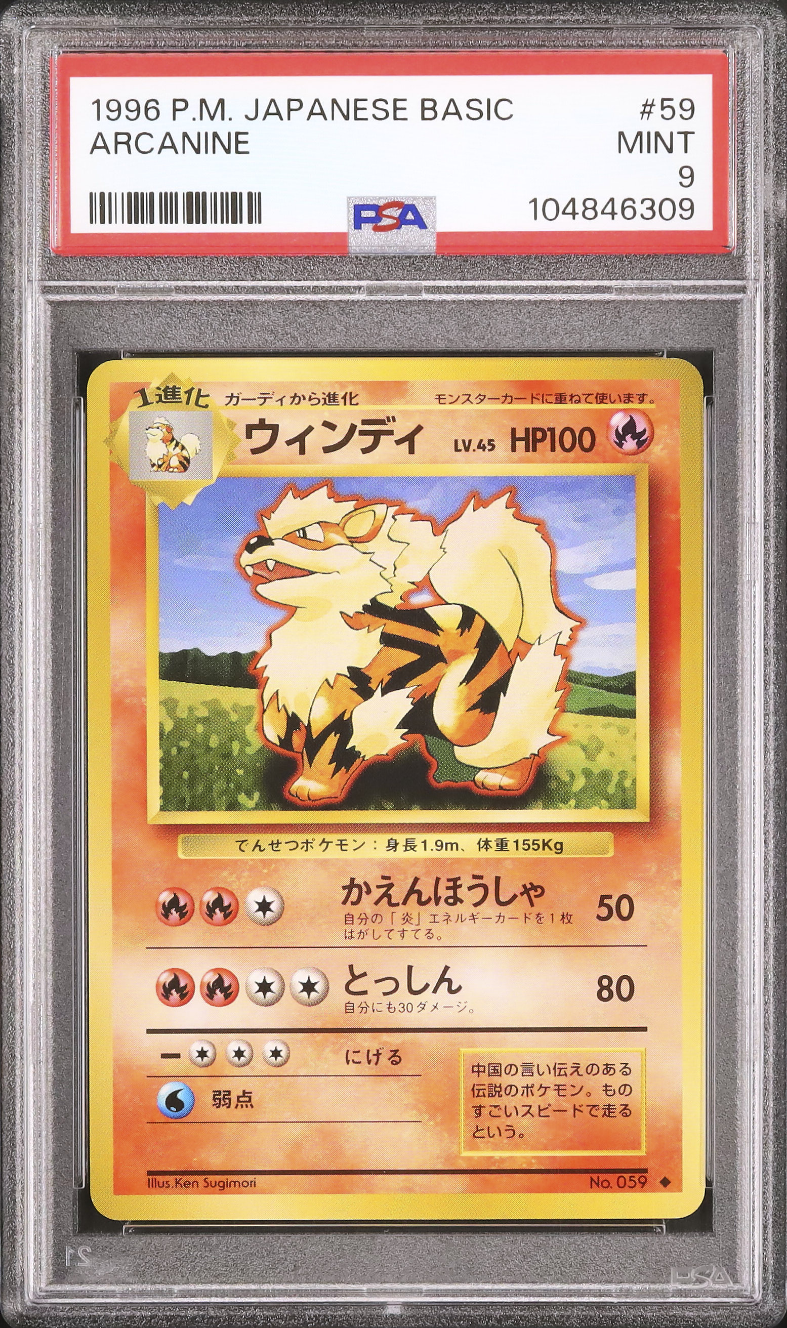1996 ウインディ PSA 9 