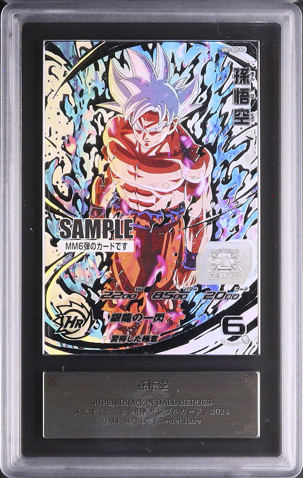 2024 孫悟空 ARS 9 - カルドバ