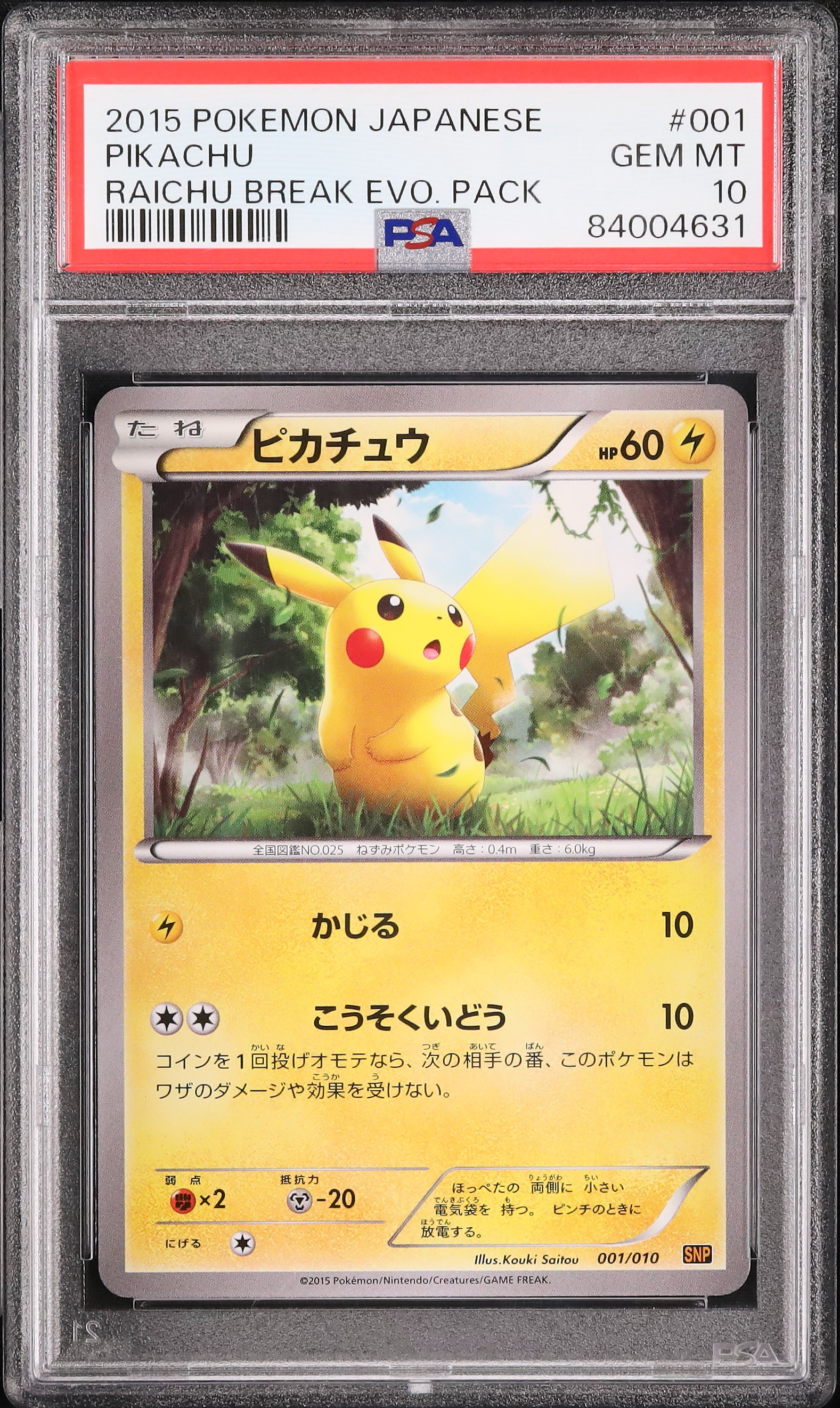 2015年 XY ピカチュウ PSA GEM MT 10 2015年 XY ピカチュウ PSA GEM MT 10 PSA10 GEM MT 2024 POKEMON