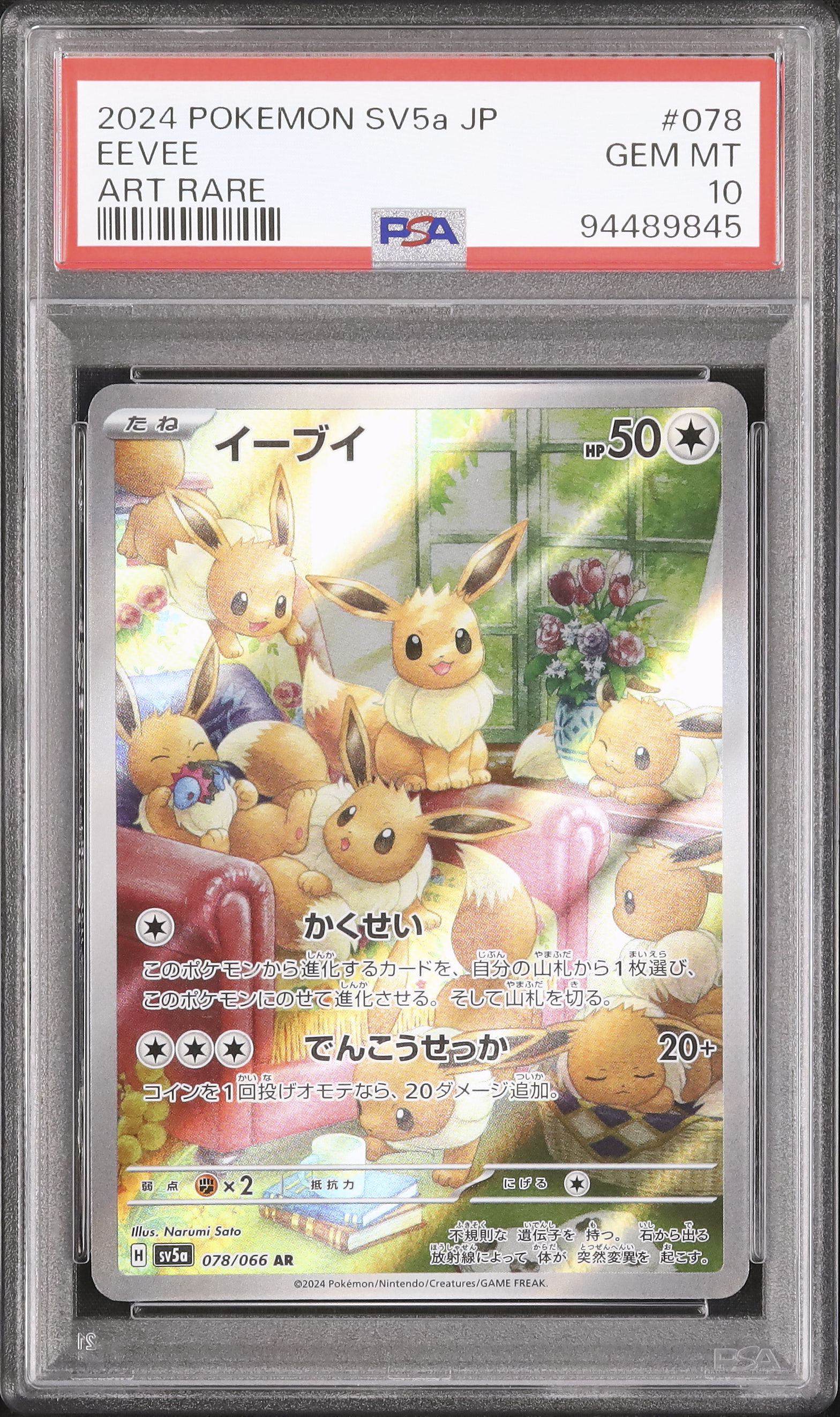 2024 Eevee PSA 10 - Cardova Japan
