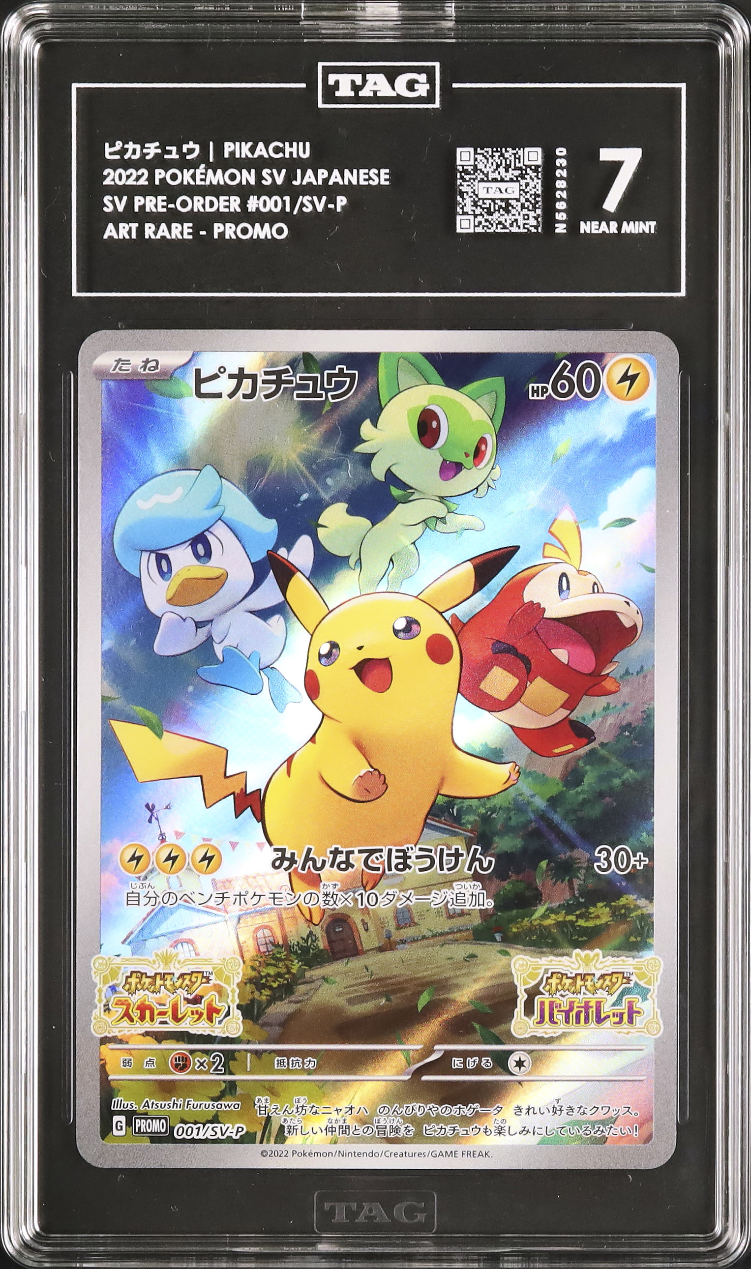 2022 Pikachu TAG 7 - Cardova Japan