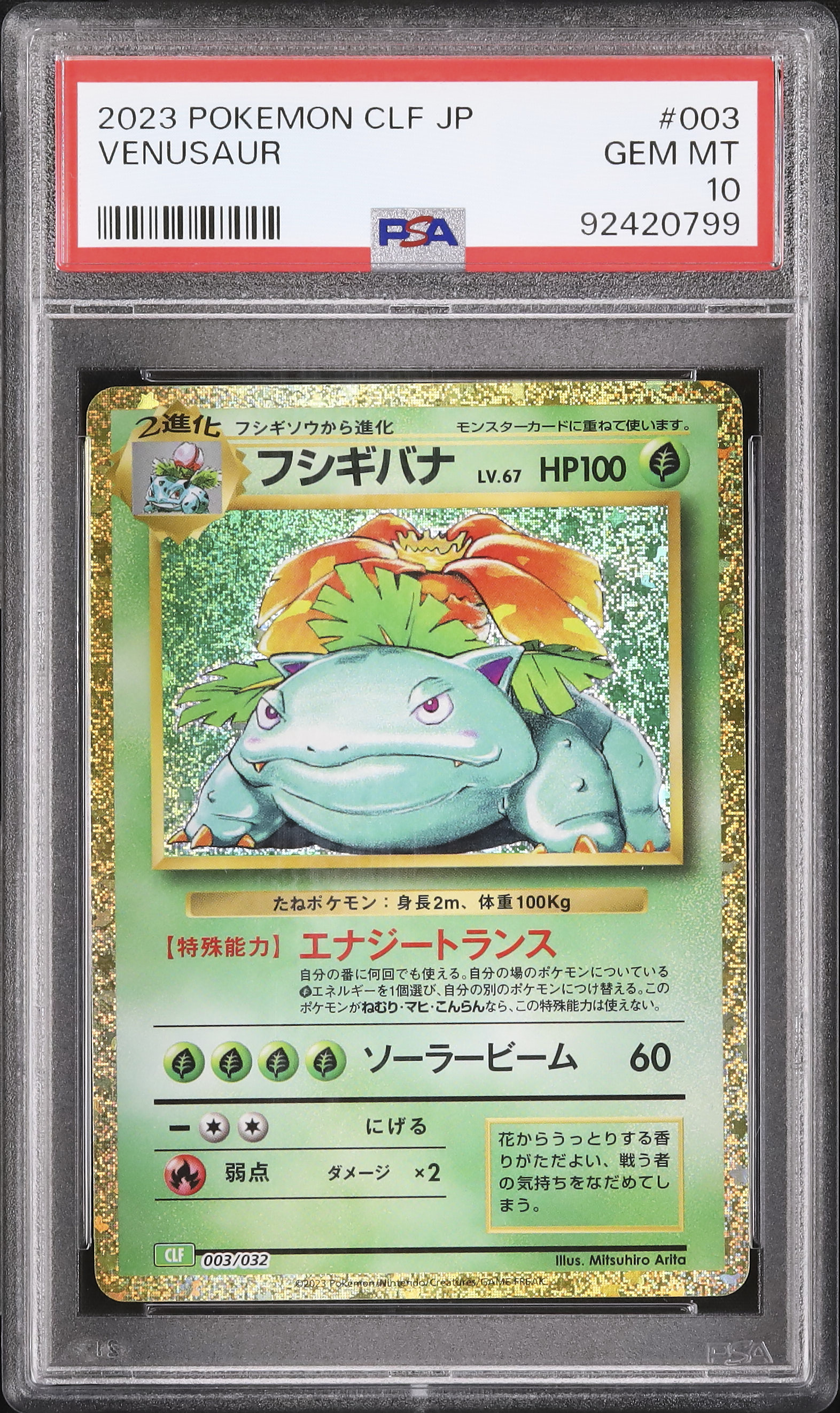 2023 フシギバナ PSA 10 - カルドバ
