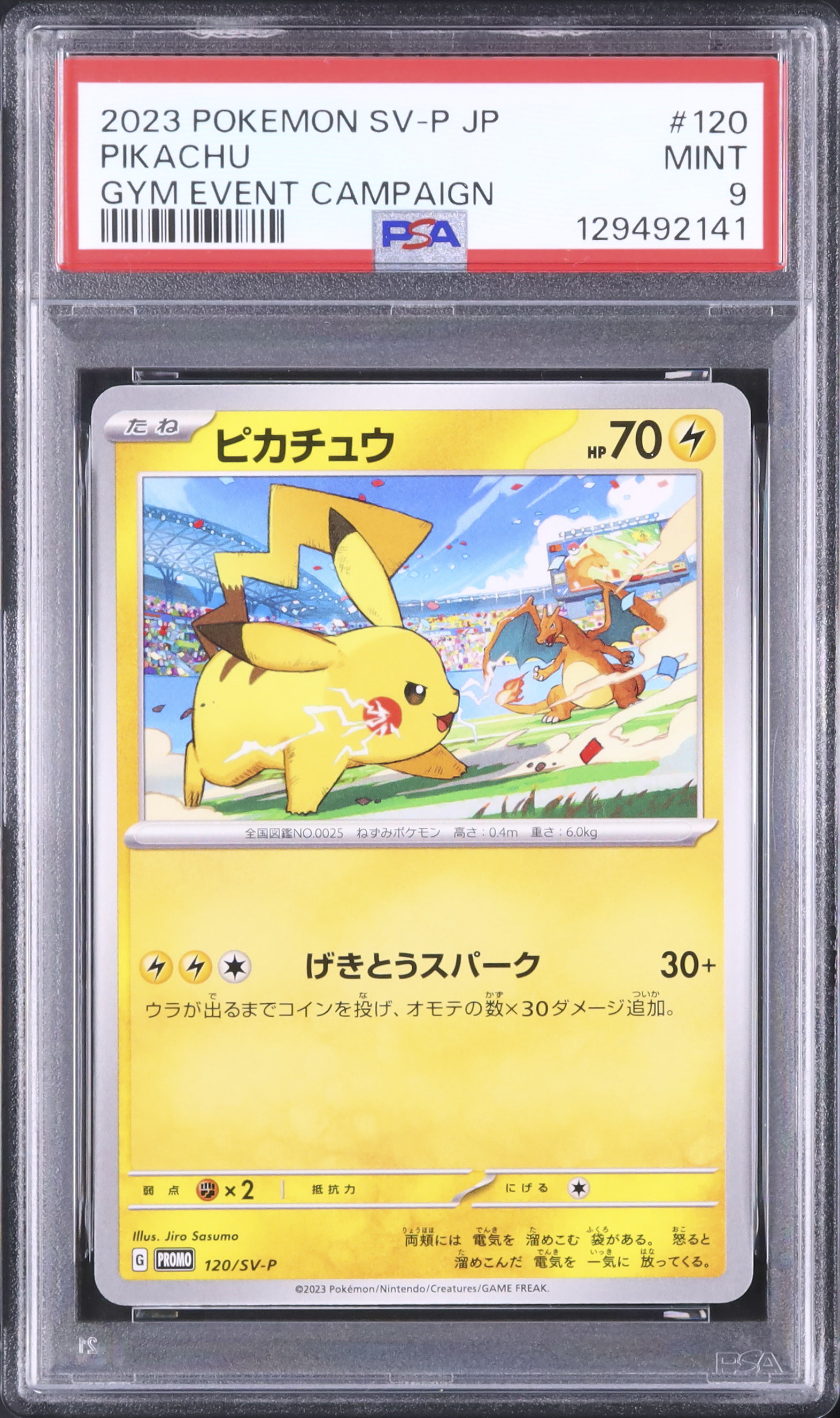 特価中PSA9 大会プロモ　ポケモンカード研究所 2023 ピカチュウ PSA 9 - カルドバ