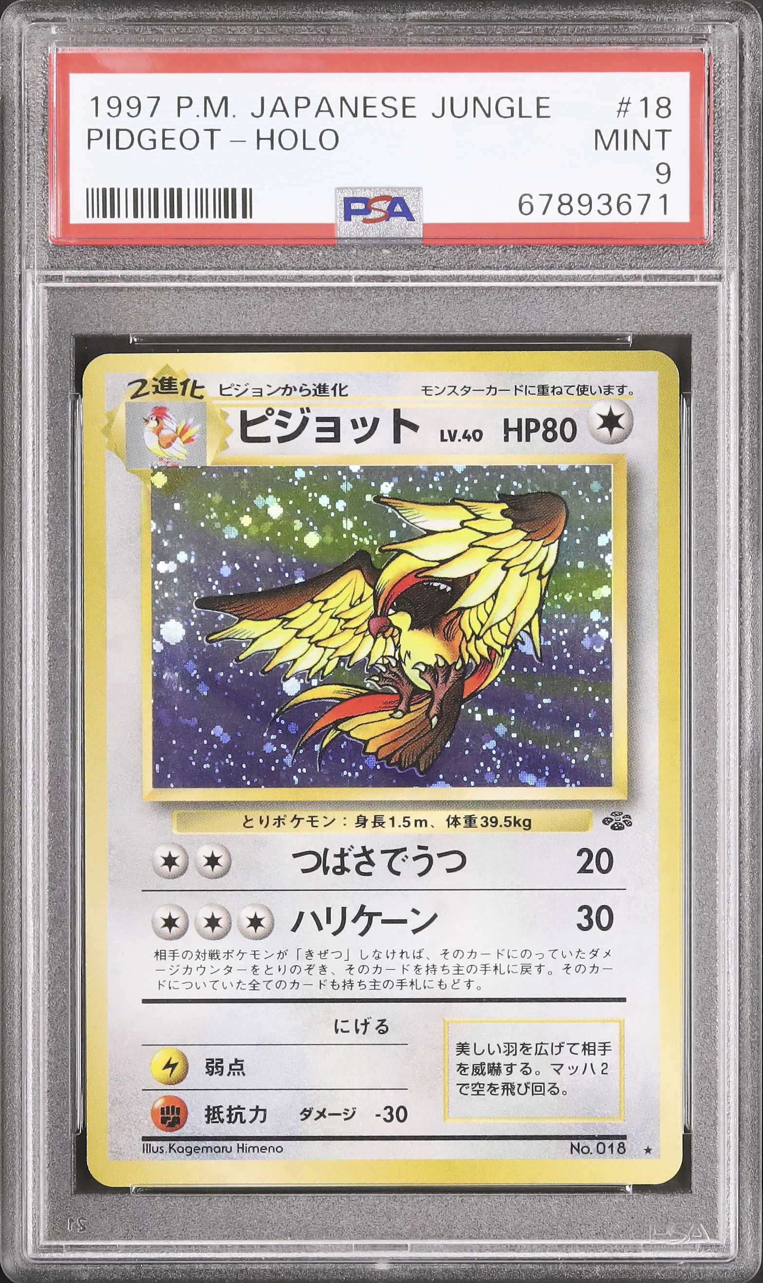 ポケモン - ポケモンカード ピジョット PSA 1997 PIDGEOT Japanese ポケモンカード ピジョット PSA 1997 PIDGEOT Japanese
