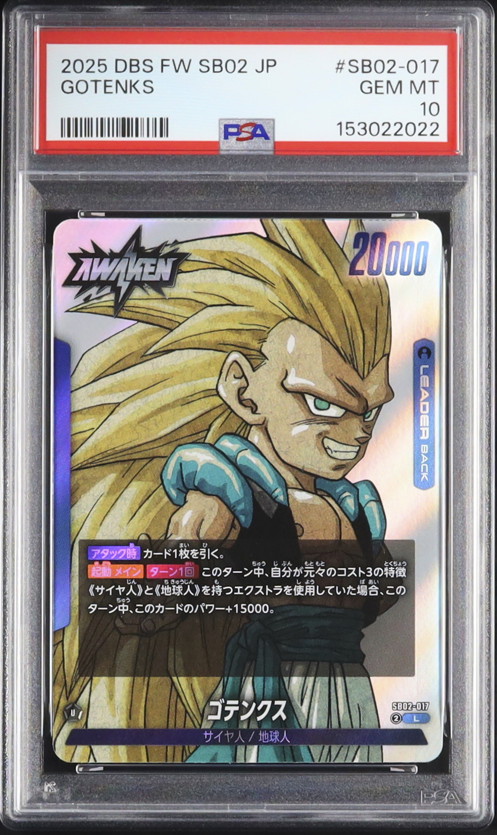 Live Auctions - Cardova Japan