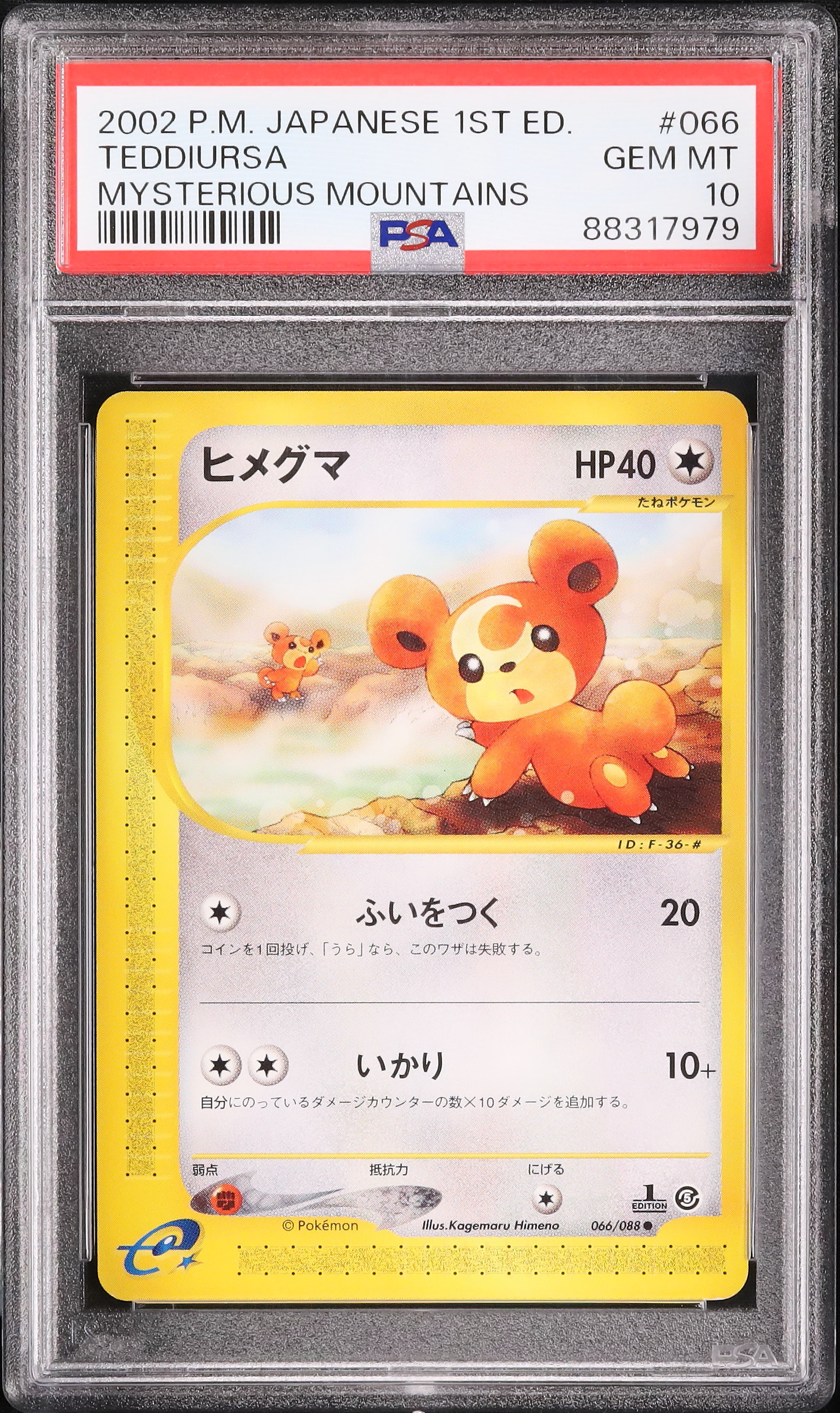 ⭐︎新品　ポケモンカード　英語版　海外版 TEDDIURSA ヒメグマ ヒメグマ シャイニーコレクション 海外版 英語版 Teddiursa