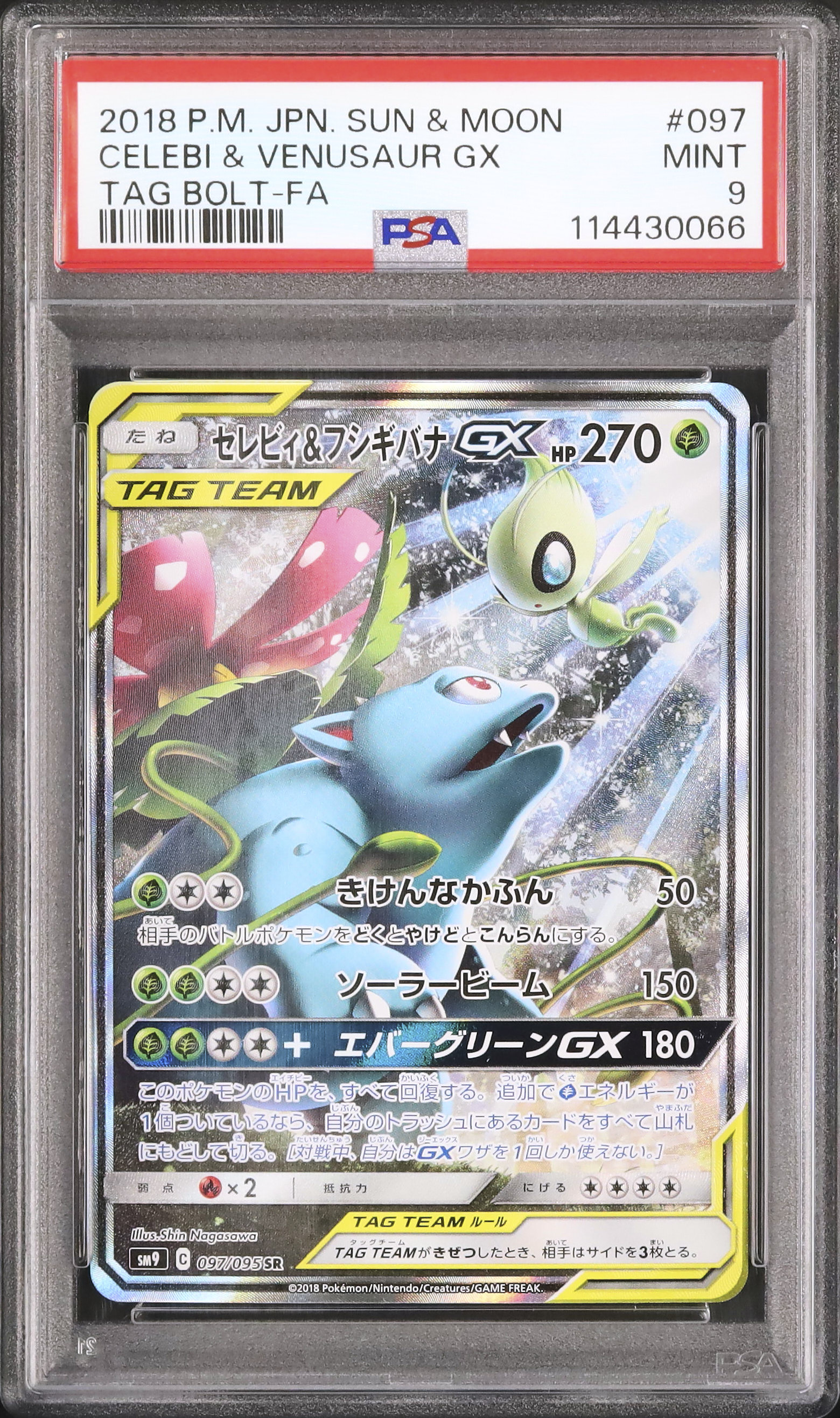 セレビィ＆フシギバナGX SR SM9 スペシャルアートSA セレビィ&フシギバナGX (SR)[sm9]の価格・値段と買取相場