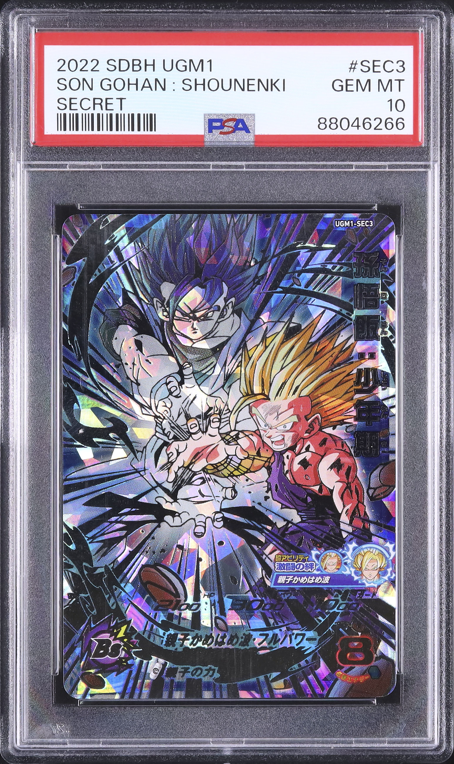 Past Auctions - Cardova Japan