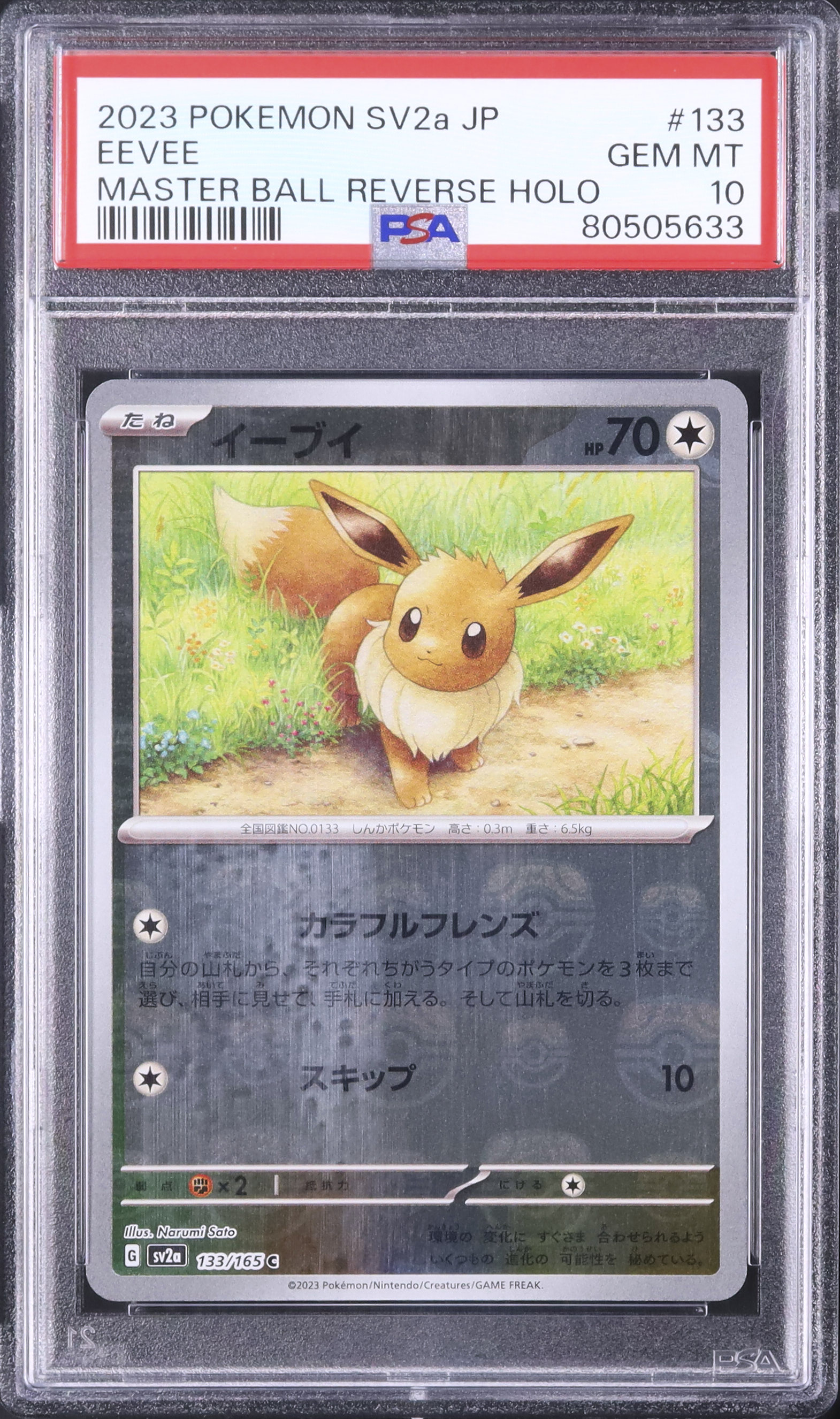2023 イーブイ PSA 10 マスターボール - カルドバ
