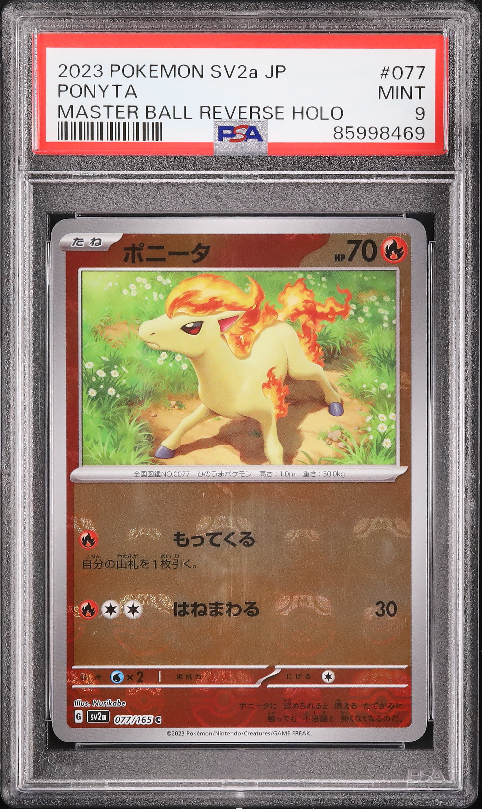 2023 ポニータ PSA 9 マスターボール - カルドバ