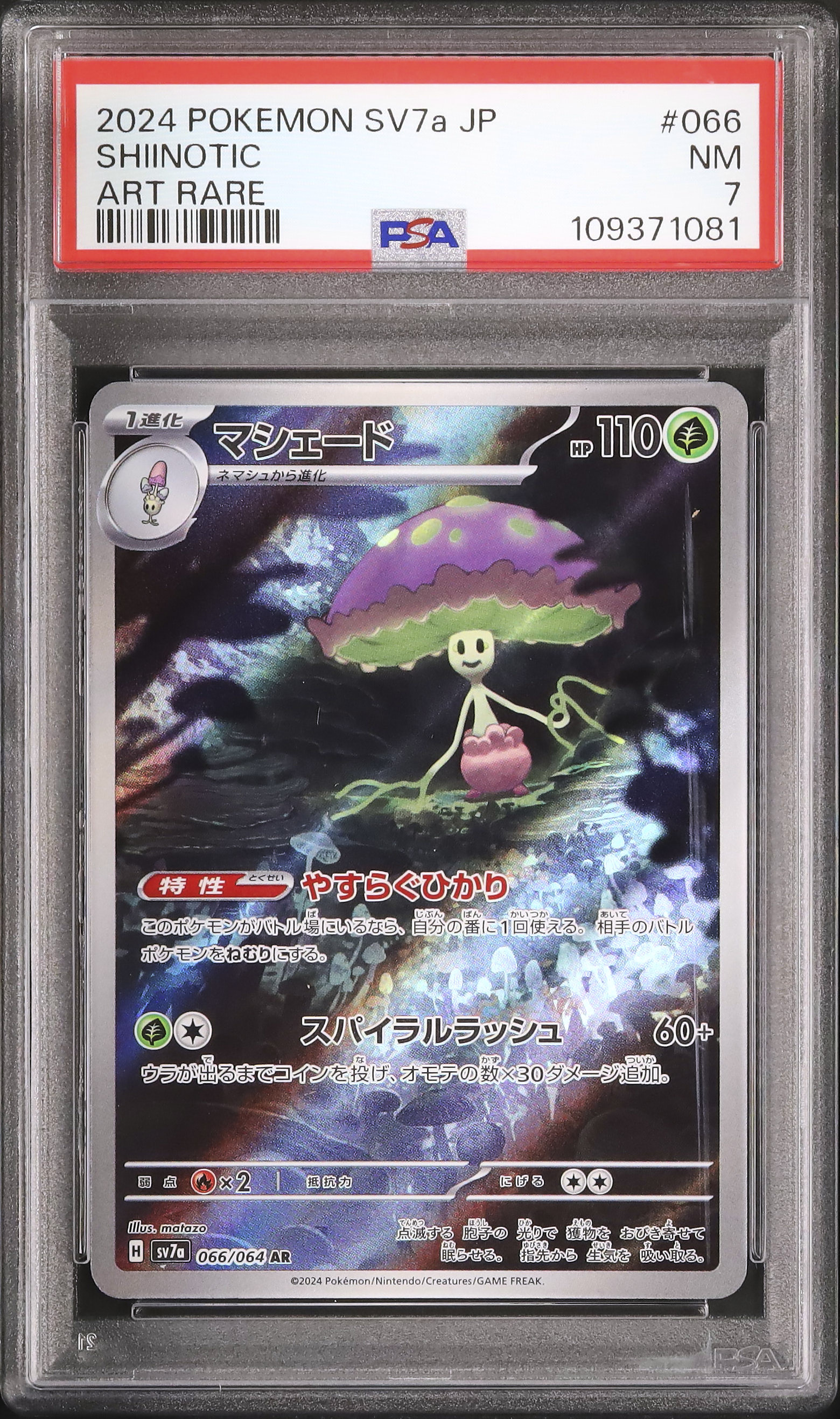 2024 Shiinotic PSA 7 - Cardova Japan