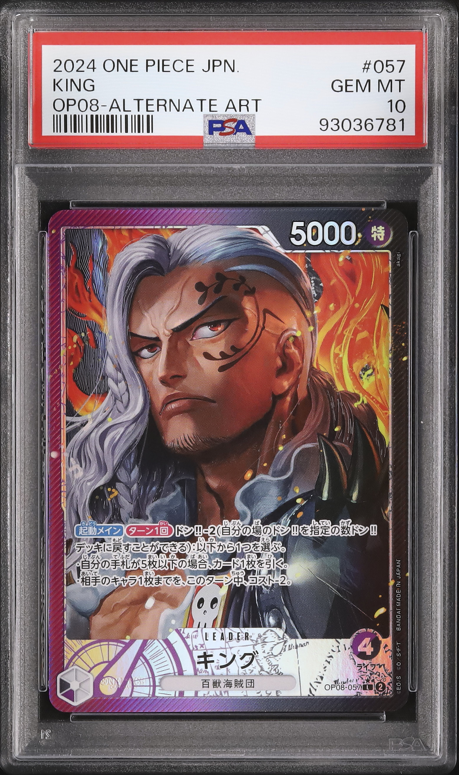 2024 キング PSA 10 絵違い - カルドバ