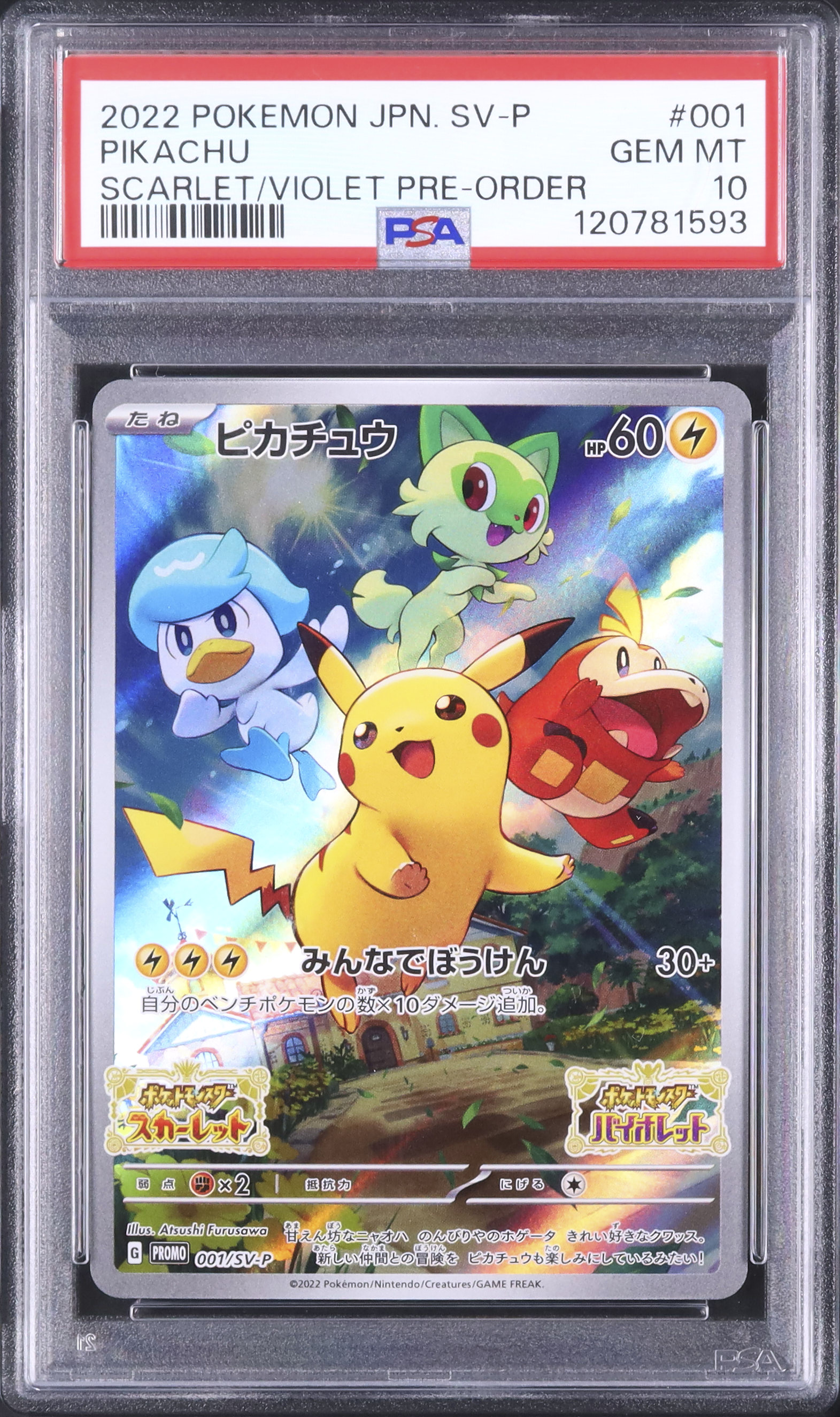 2022 ピカチュウ PSA 10 - カルドバ