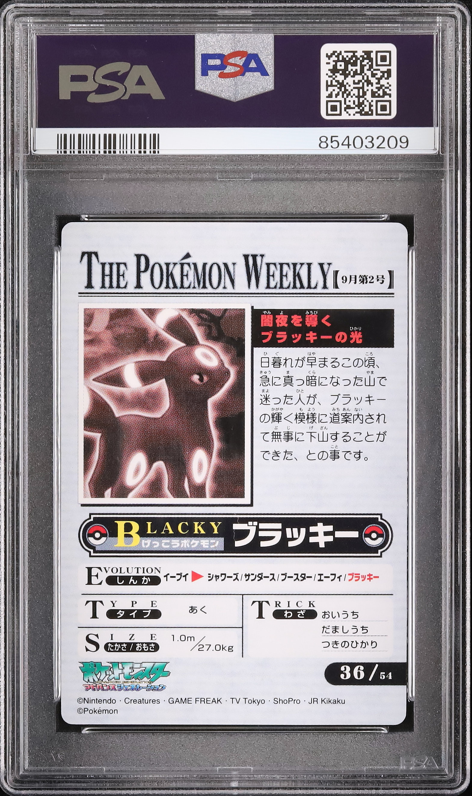2005 ブラッキー PSA 8 - カルドバ