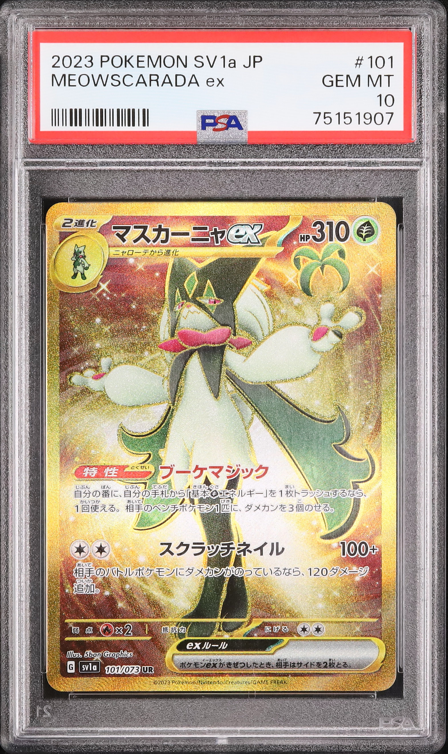 BGS鑑定　取得率約20% bgs10 マスカーニャ ex UR 　ポケモン BGS鑑定 取得率約20% bgs10 マスカーニャ ex UR ポケモン - メルカリ